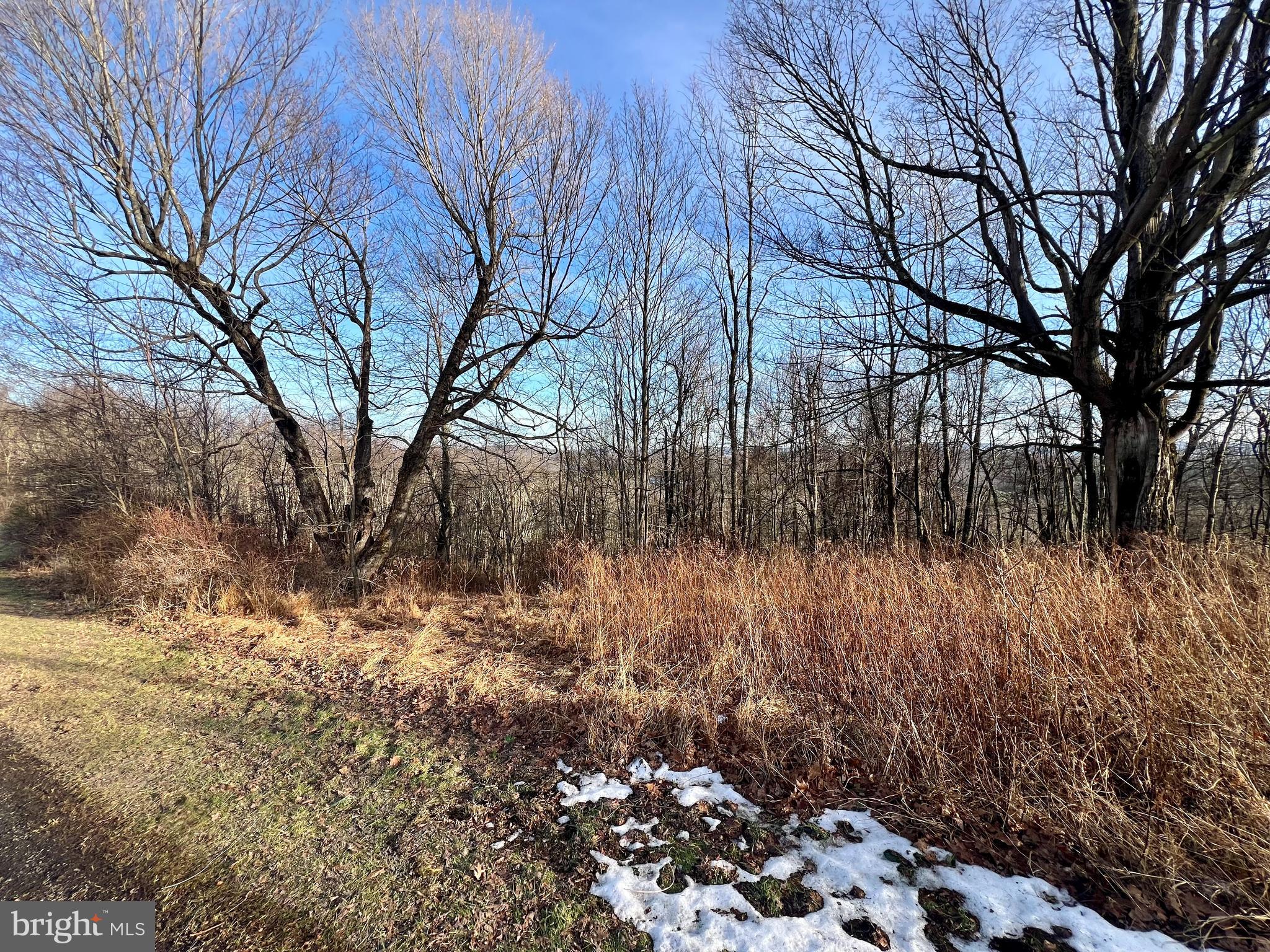 PARADISE RIDGE - Land