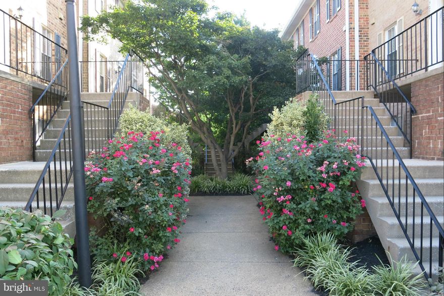 The sought after Westhampton Mews! This home boasts 2 bedrooms, 2.5 baths! Open & versatile floorplan!  NEW  SS LG Appliances & High end granite countertop. New  Hardwood floors throughout.  Private patio. Washer/dryer. 1 assigned parking spot & visitor spot . Commuters Dream! Walk to Pentagon, shops & dining, and just minutes to DC, Clarendon. Within 1 block of Metro Bus and Connector!