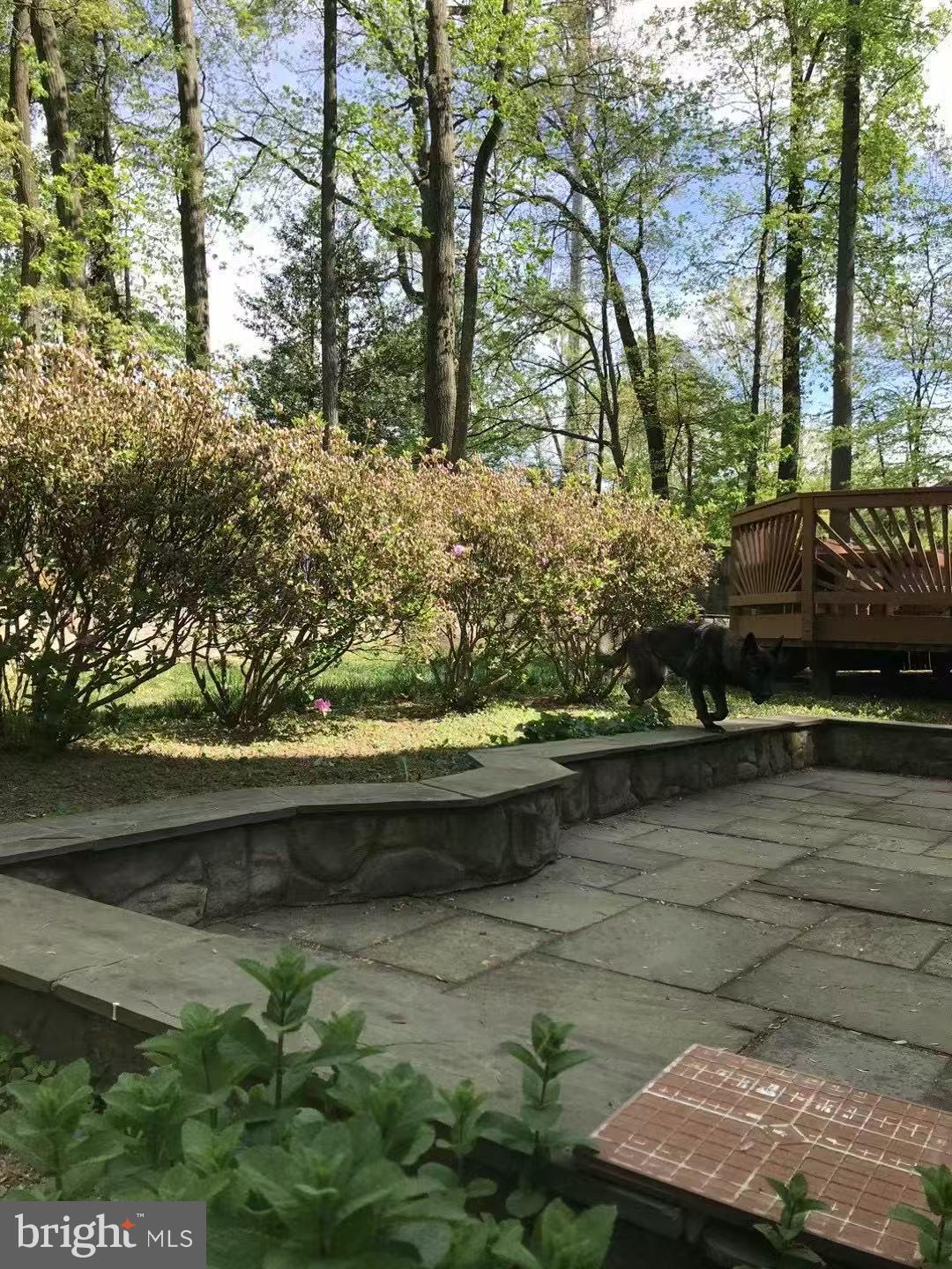 6209 FERNLEIGH BOULEVARD