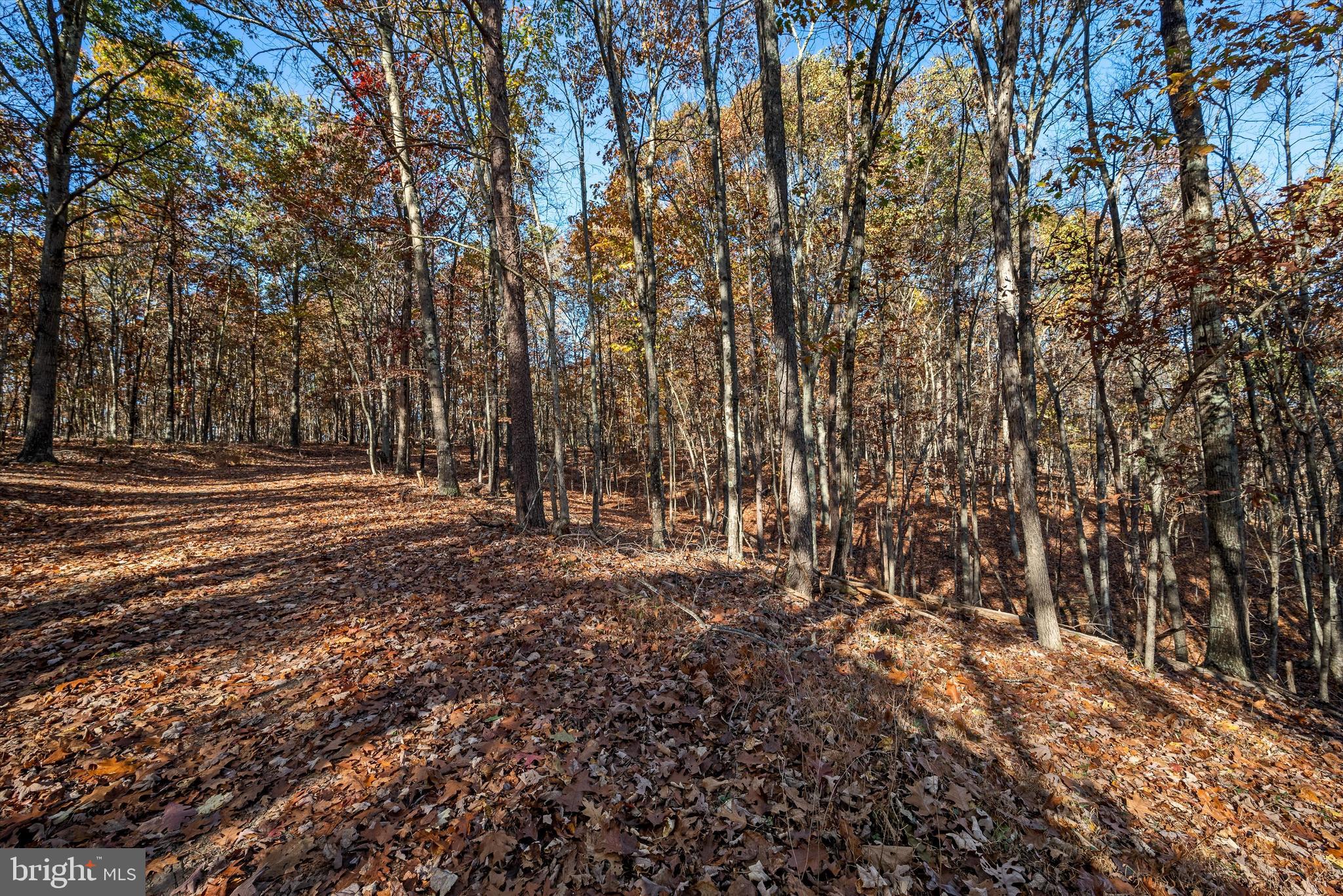 NONE AVAILABLE - Land