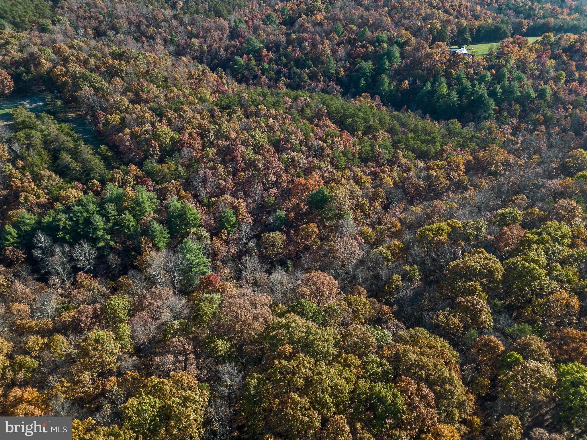 NONE AVAILABLE - Land