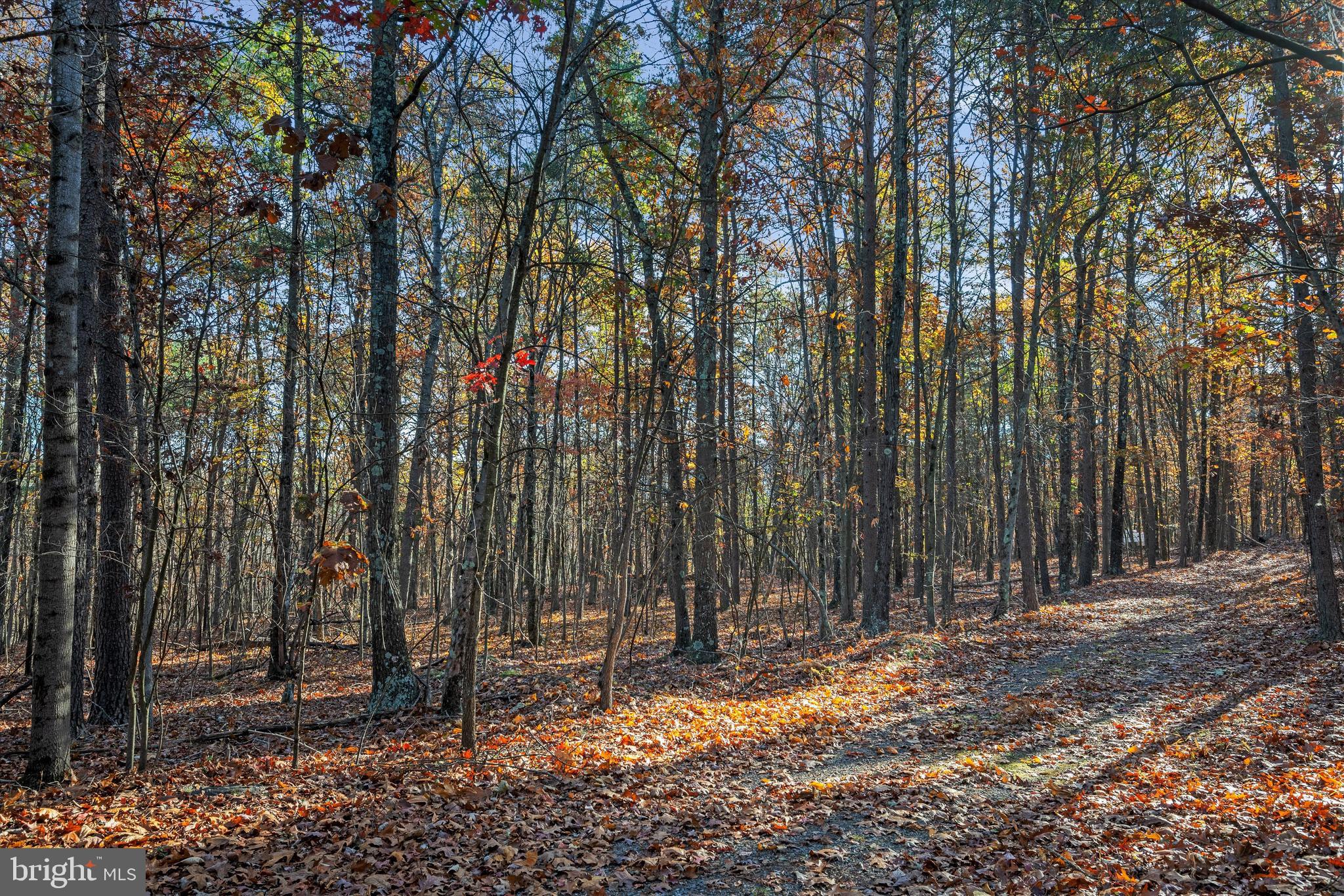 NONE AVAILABLE - Land