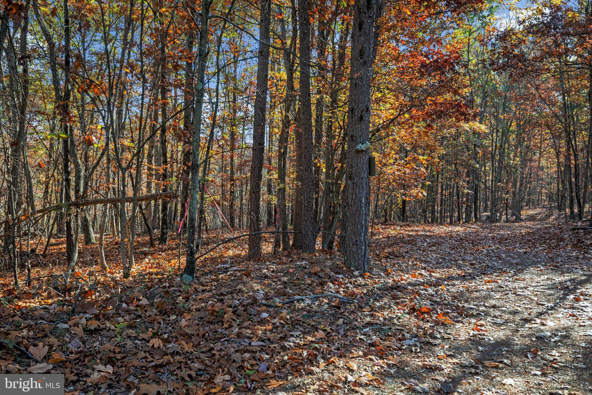 NONE AVAILABLE - Land