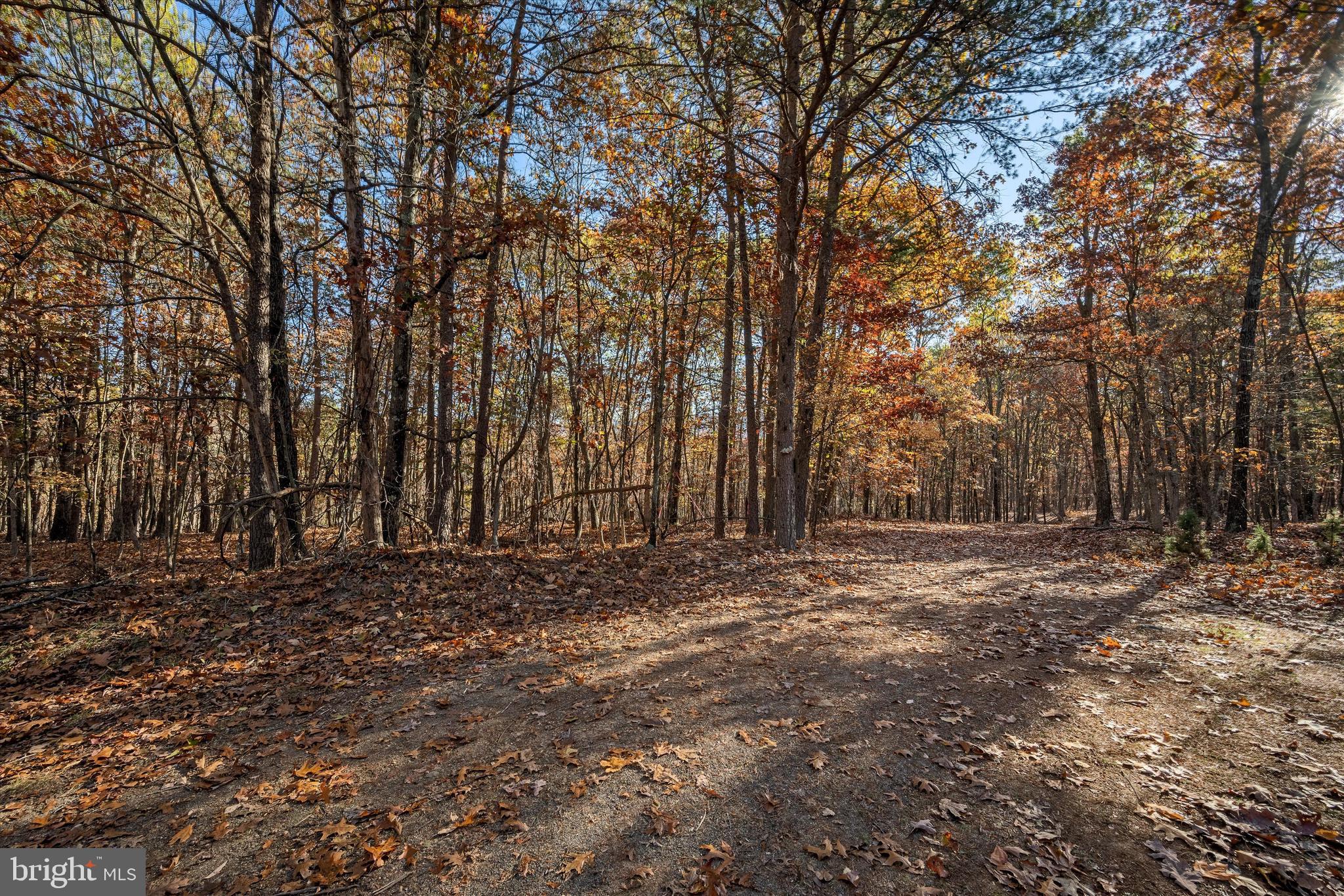 NONE AVAILABLE - Land