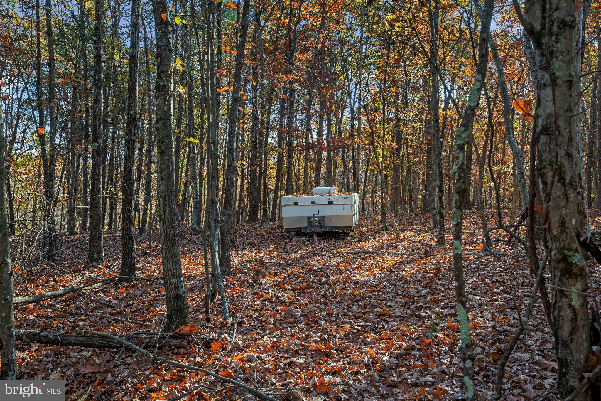 NONE AVAILABLE - Land