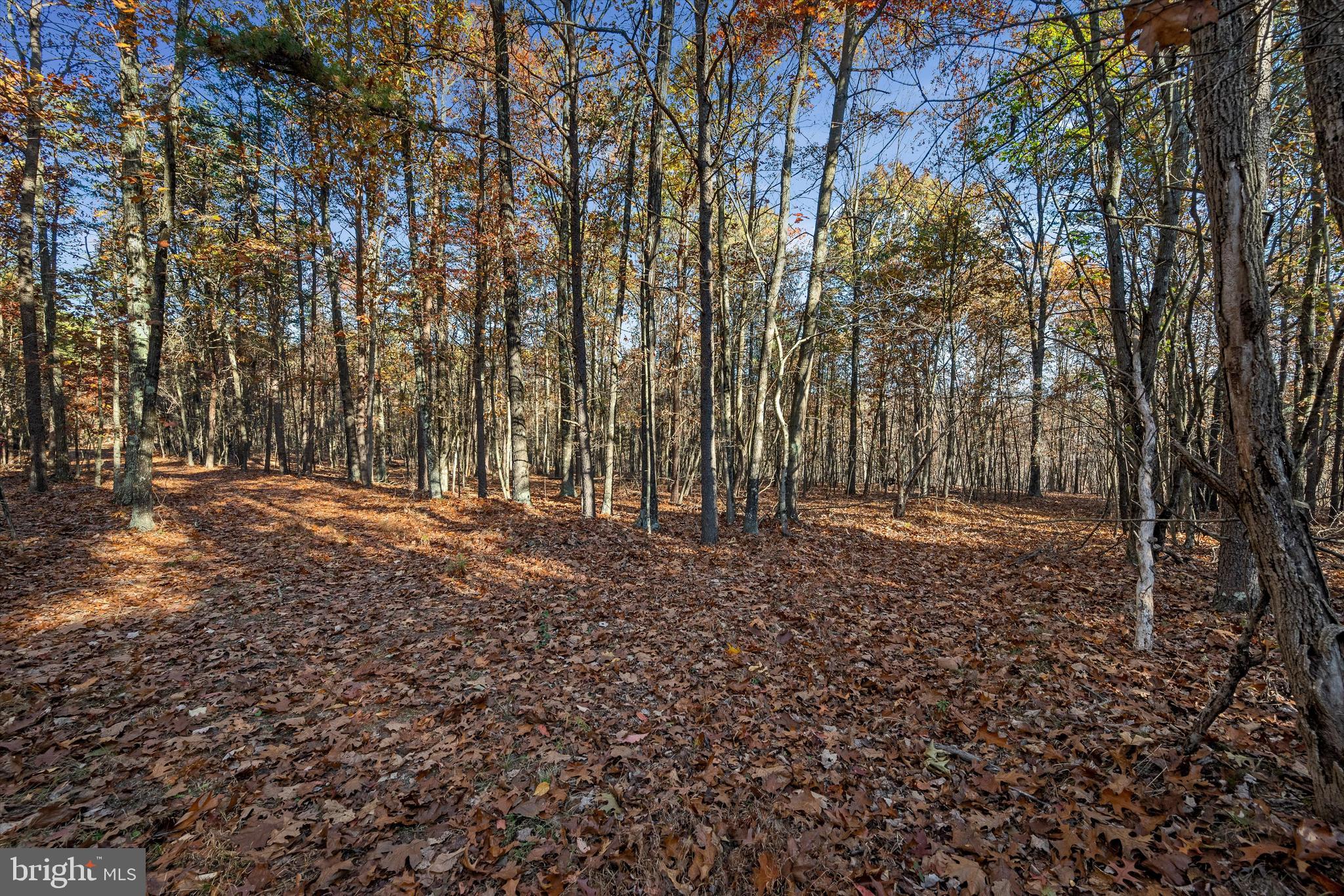 NONE AVAILABLE - Land