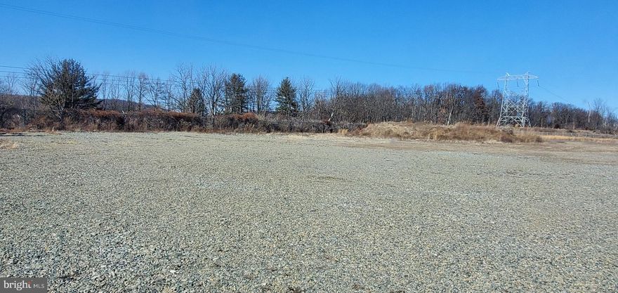 Approx 50 acres of commercial land. Near main artery of Rt. 100. Central location to Allentown, Reading, Philadelphia.  Many possibilities. Check zoning for uses.  Two separate parcels (Lot 6 and Lot 7 of Prestige subdivision) being sold together. Taxes and assessment figures & lot sizes are for both parcels added together.