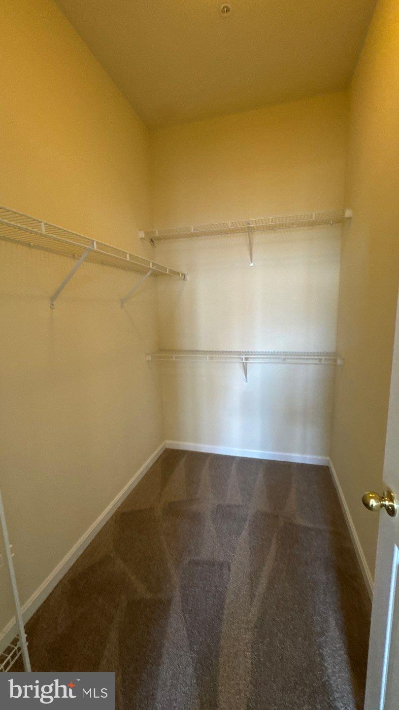 THE WHITNEY TOWN CENTER - Residential Lease