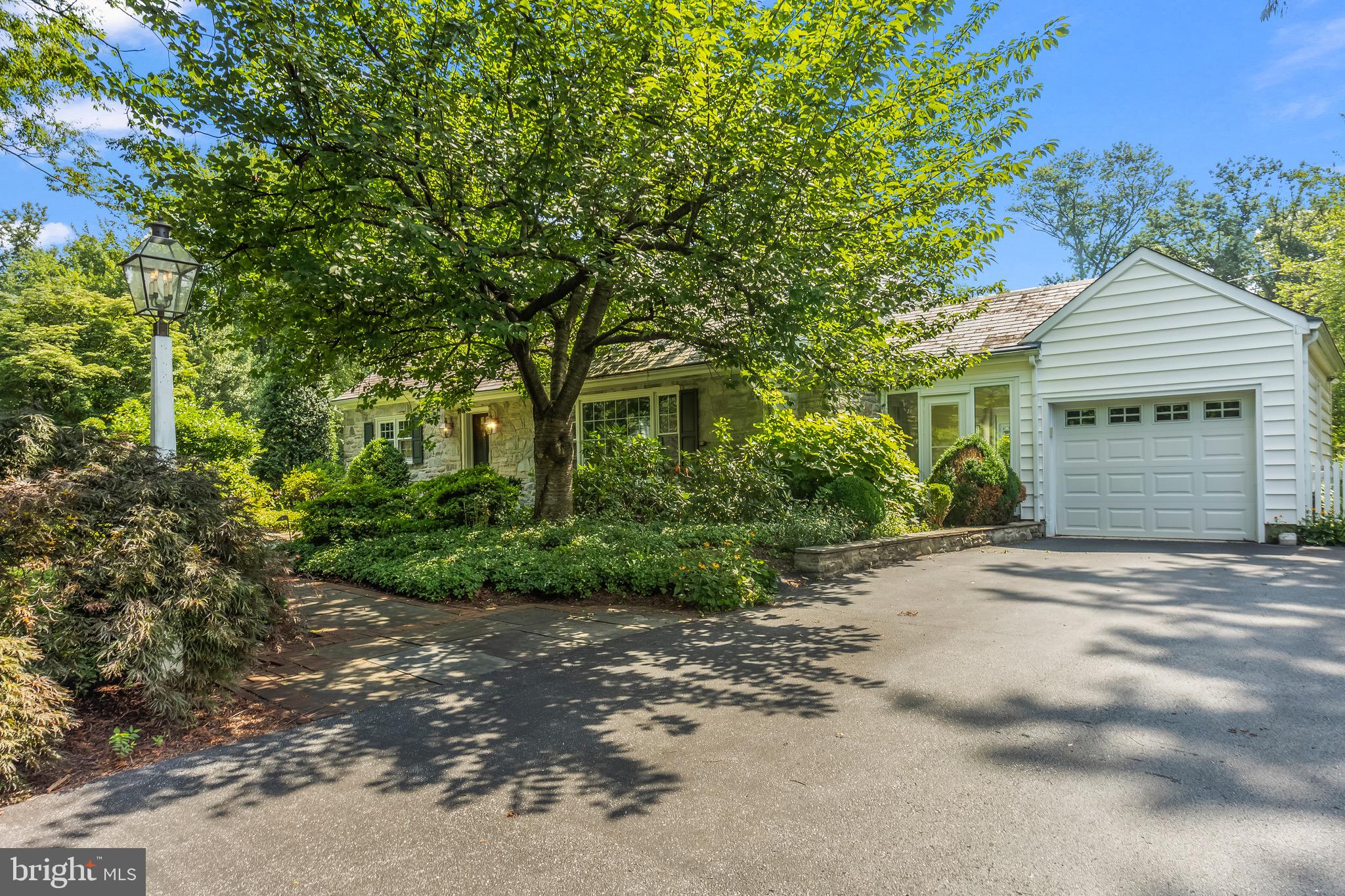 815 WILSON DRIVE
