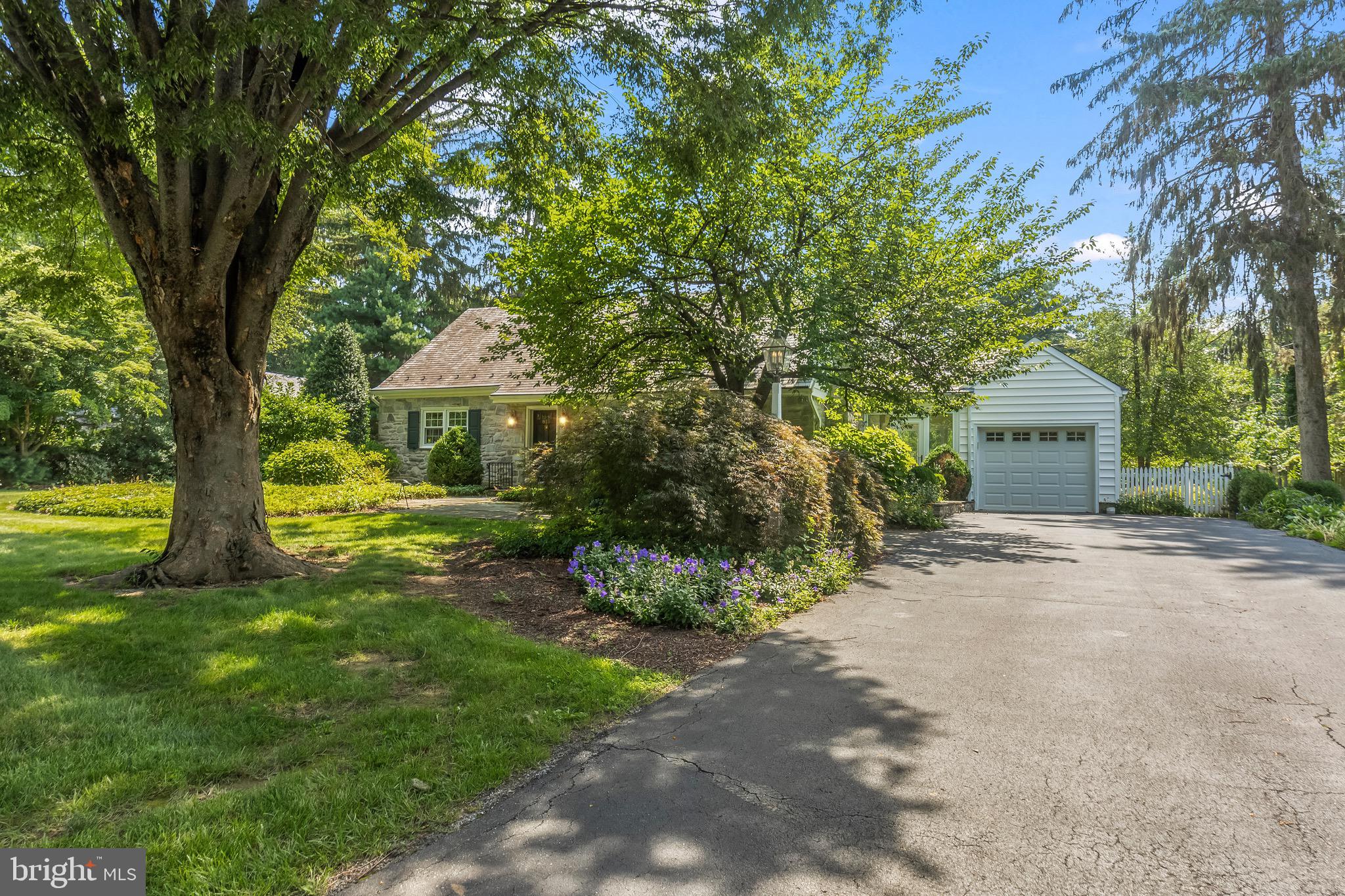 815 WILSON DRIVE