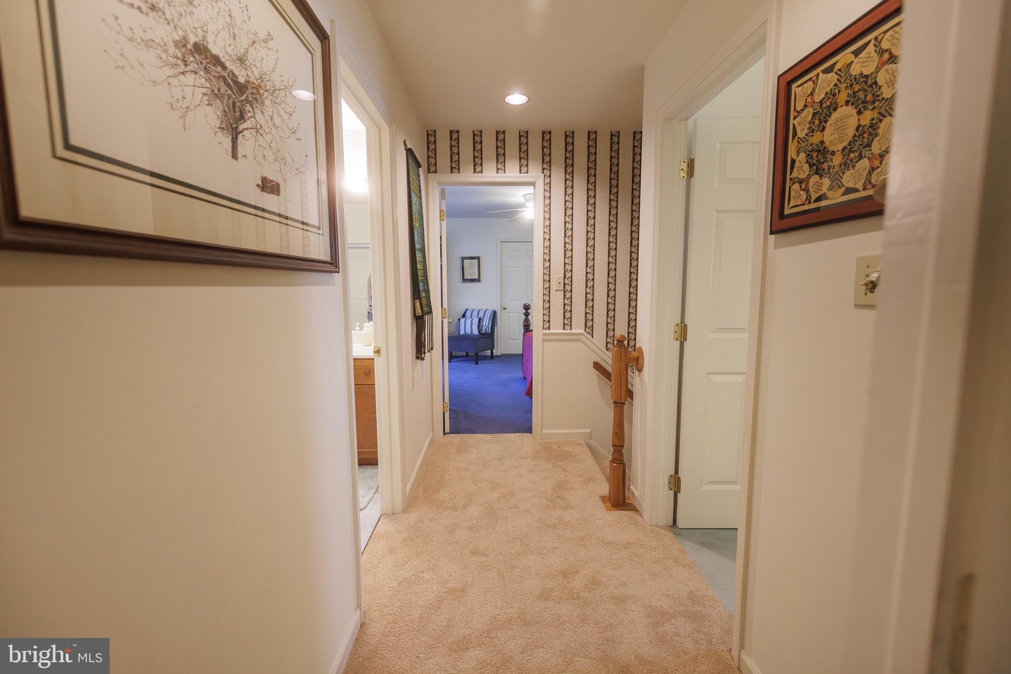 STEEPLECHASE - Residential