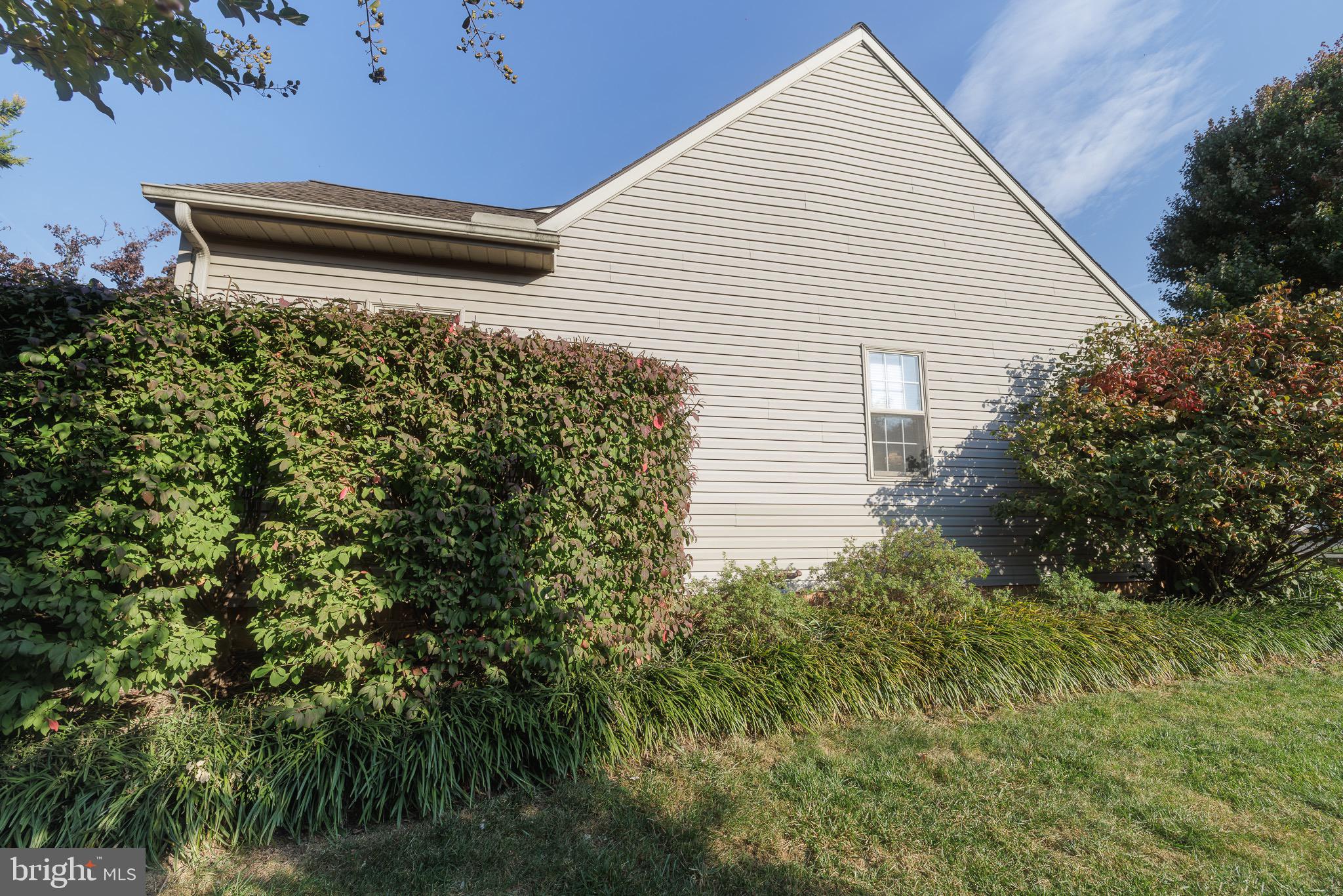 STEEPLECHASE - Residential