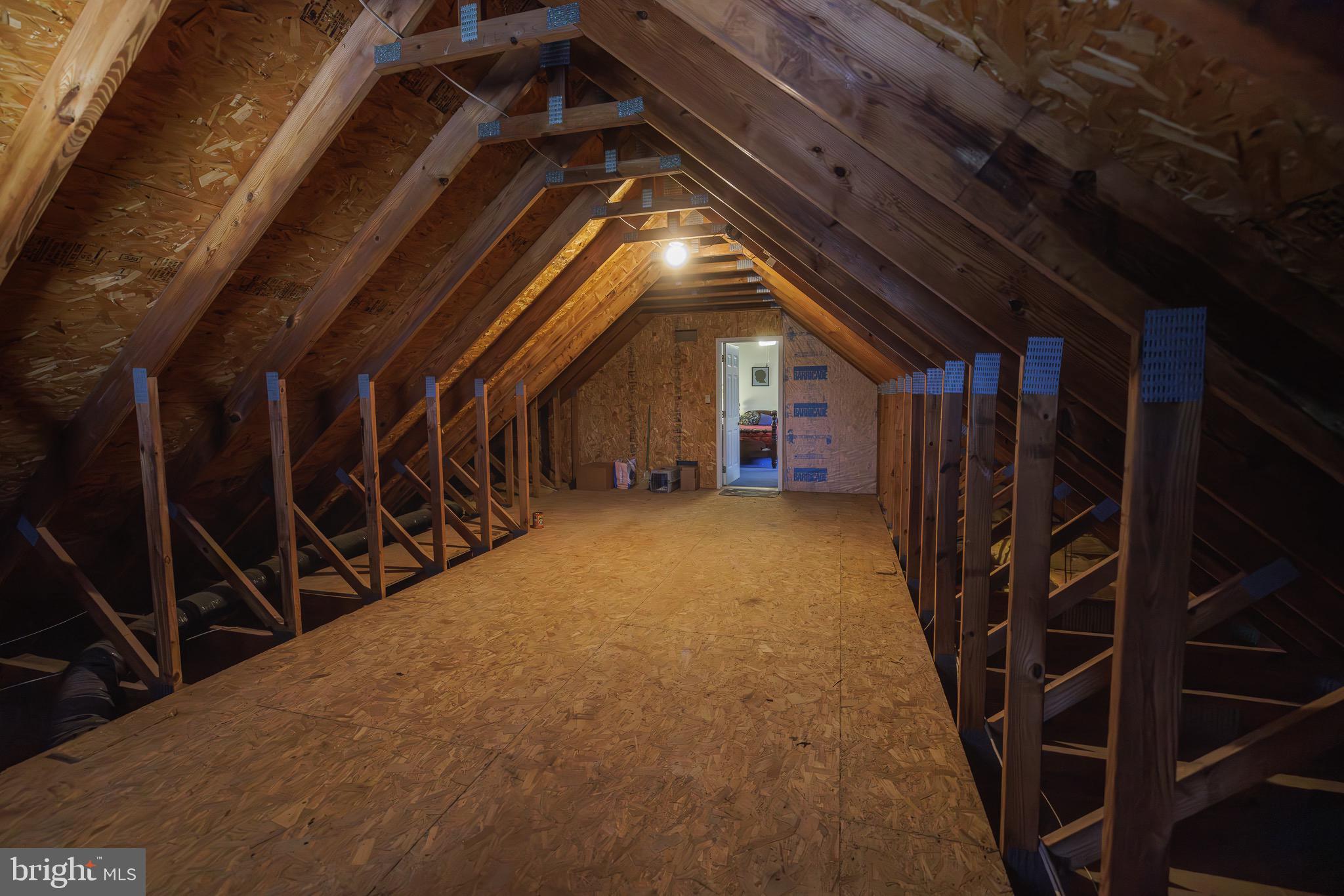 STEEPLECHASE - Residential