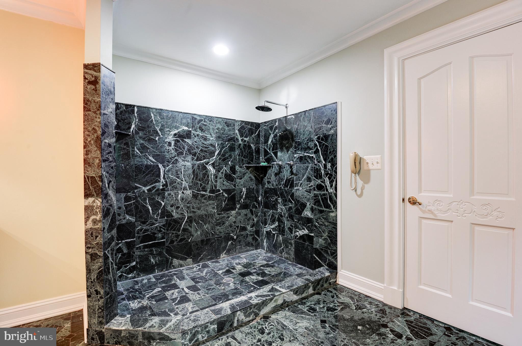 POTOMAC FALLS - Residential