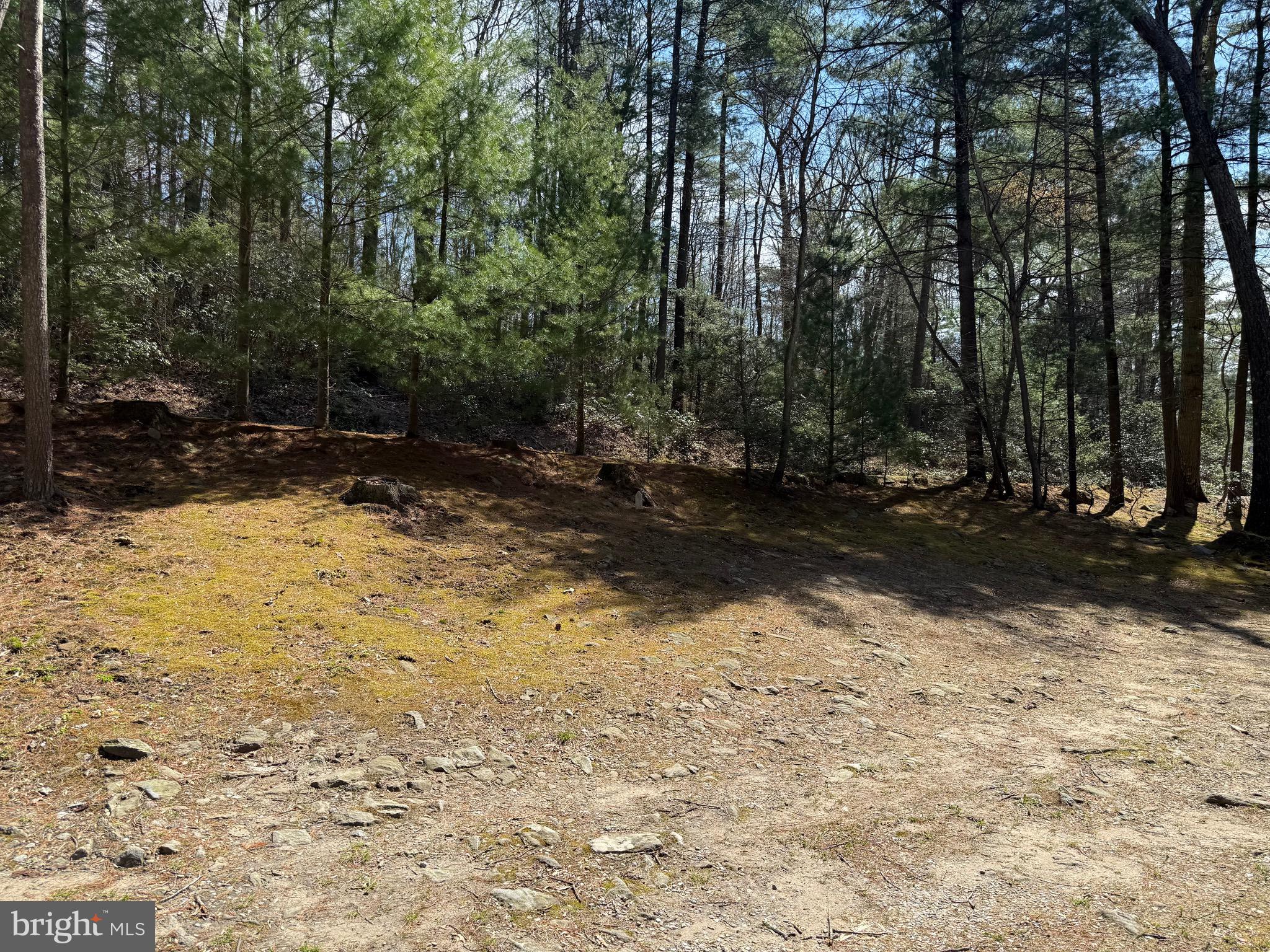 MICHAUX STATE FOREST - Residential