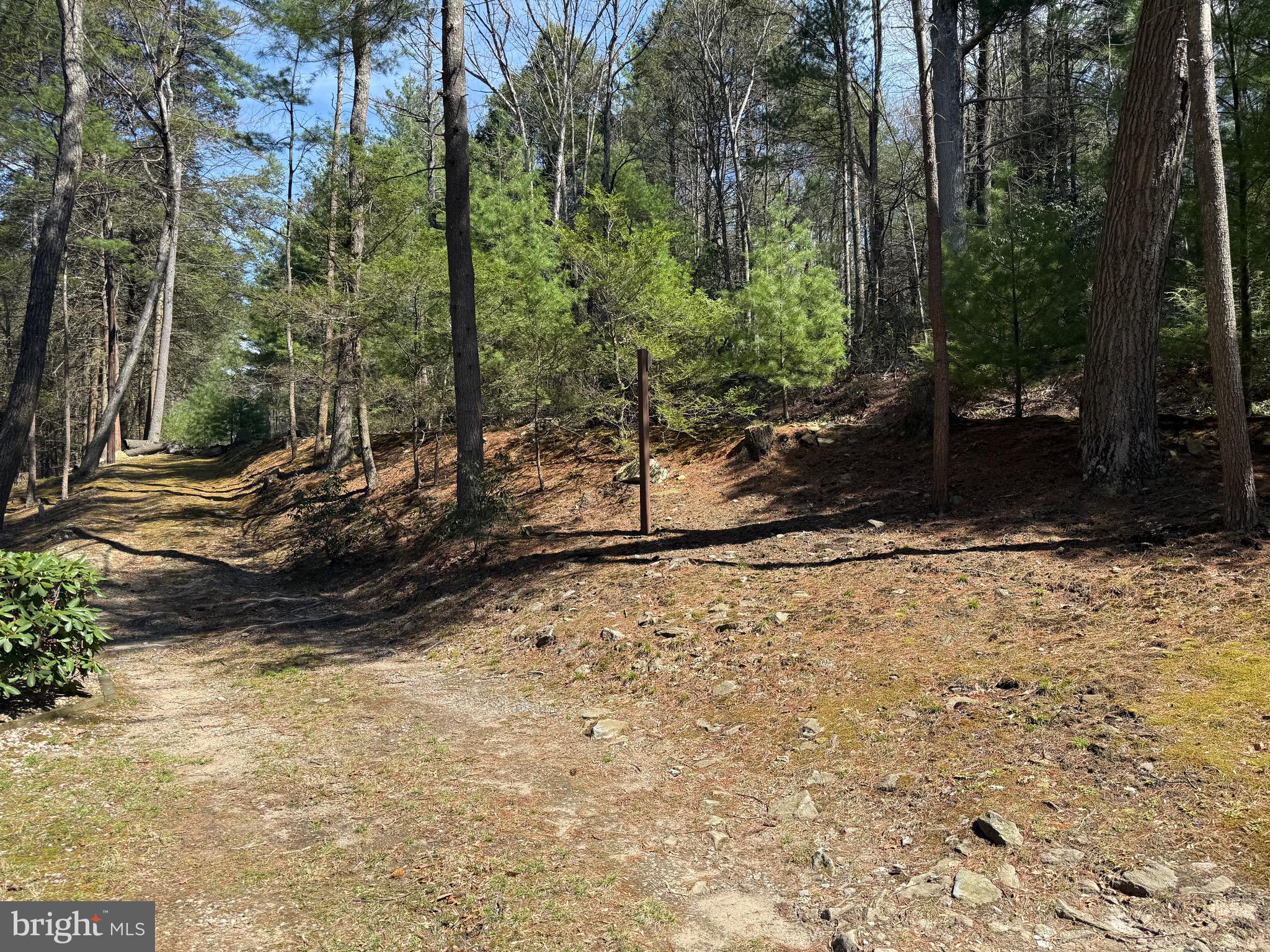 MICHAUX STATE FOREST - Residential