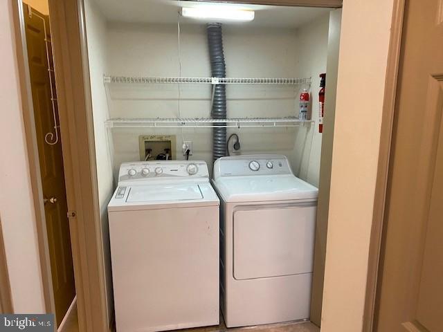 TAMERLANE - Residential Lease