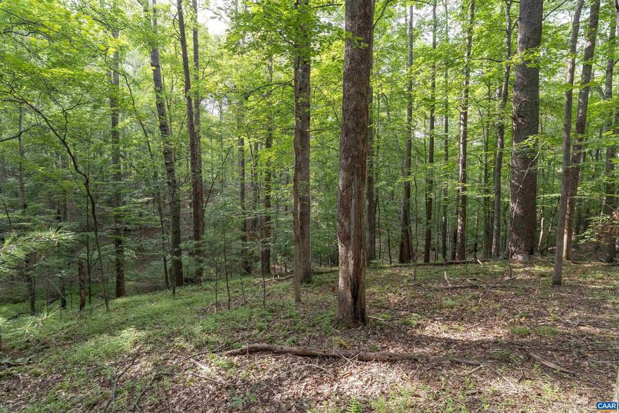 Discover 6.5 private, wooded acres on peaceful Decca Lane in Ivy?ideal for your dream home. This gently rolling lot offers natural beauty with a year round stream, privacy, and a prime location just minutes from Ivy Elementary School. A rare opportunity to build in one of Albemarle County?s most sought-after areas.