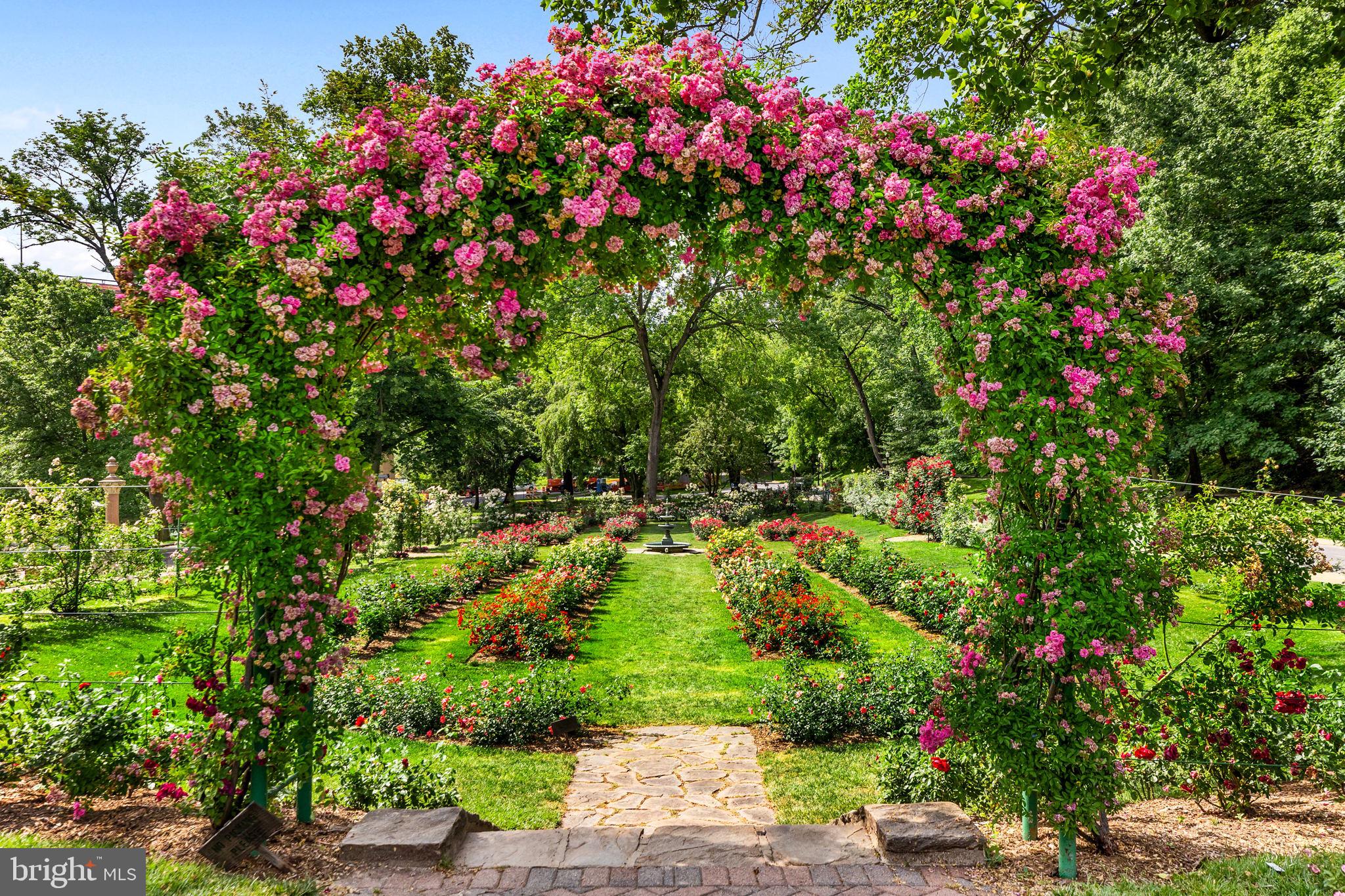 THE POINTE - Residential