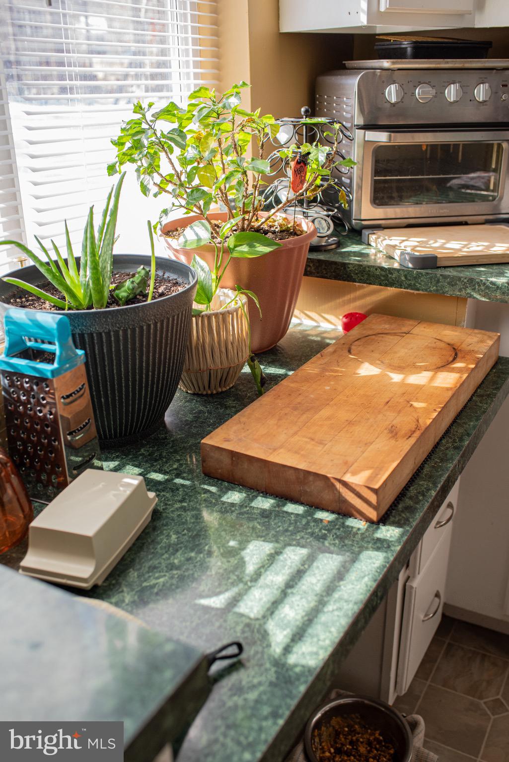 BLUE RIDGE SHORES - Residential