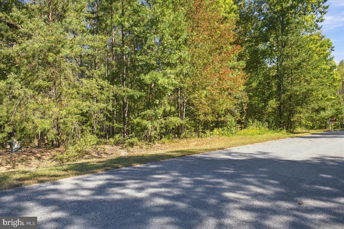 Lot #318 WINCHESTER TRAIL
