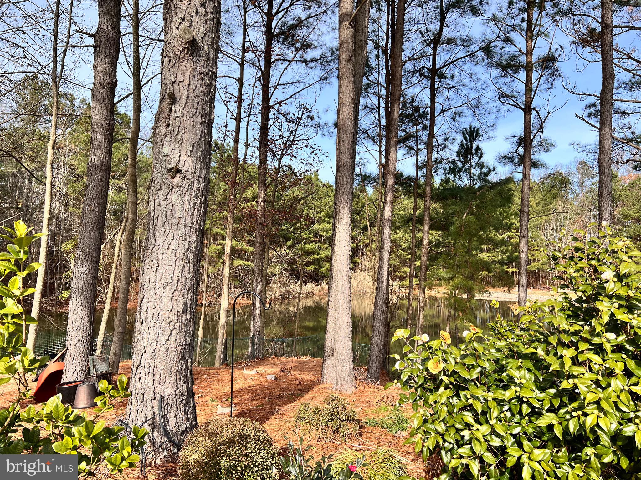 210 RINGGOLD ROAD