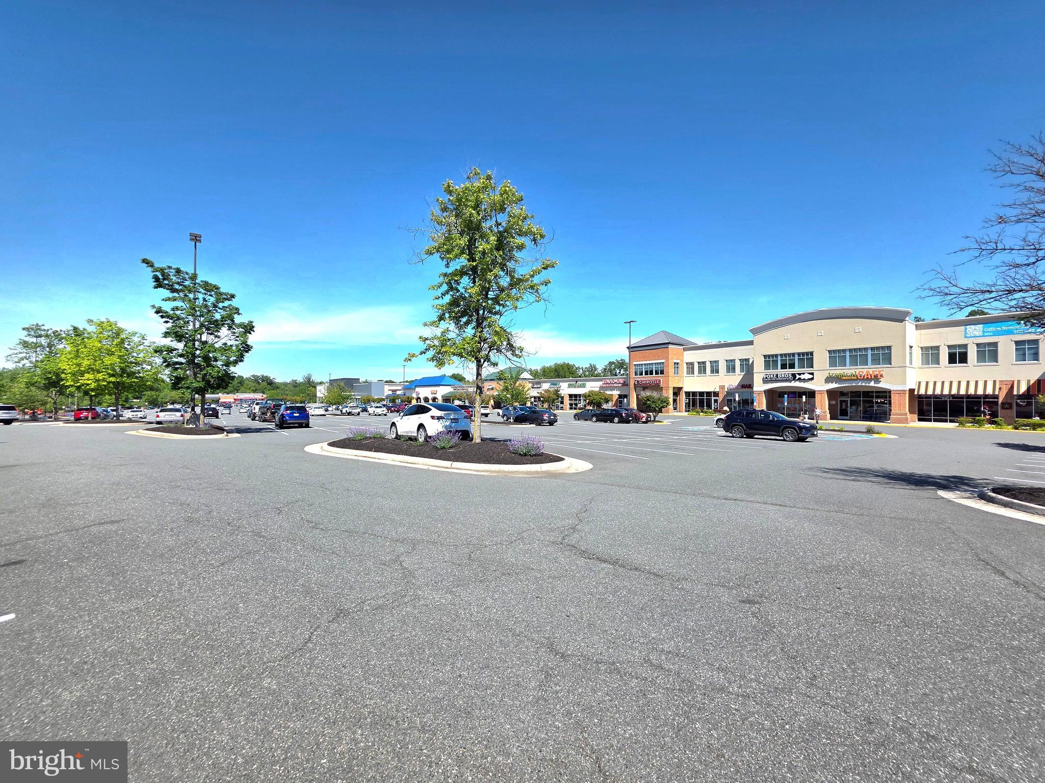 GUNSTON SQUARE - Residential