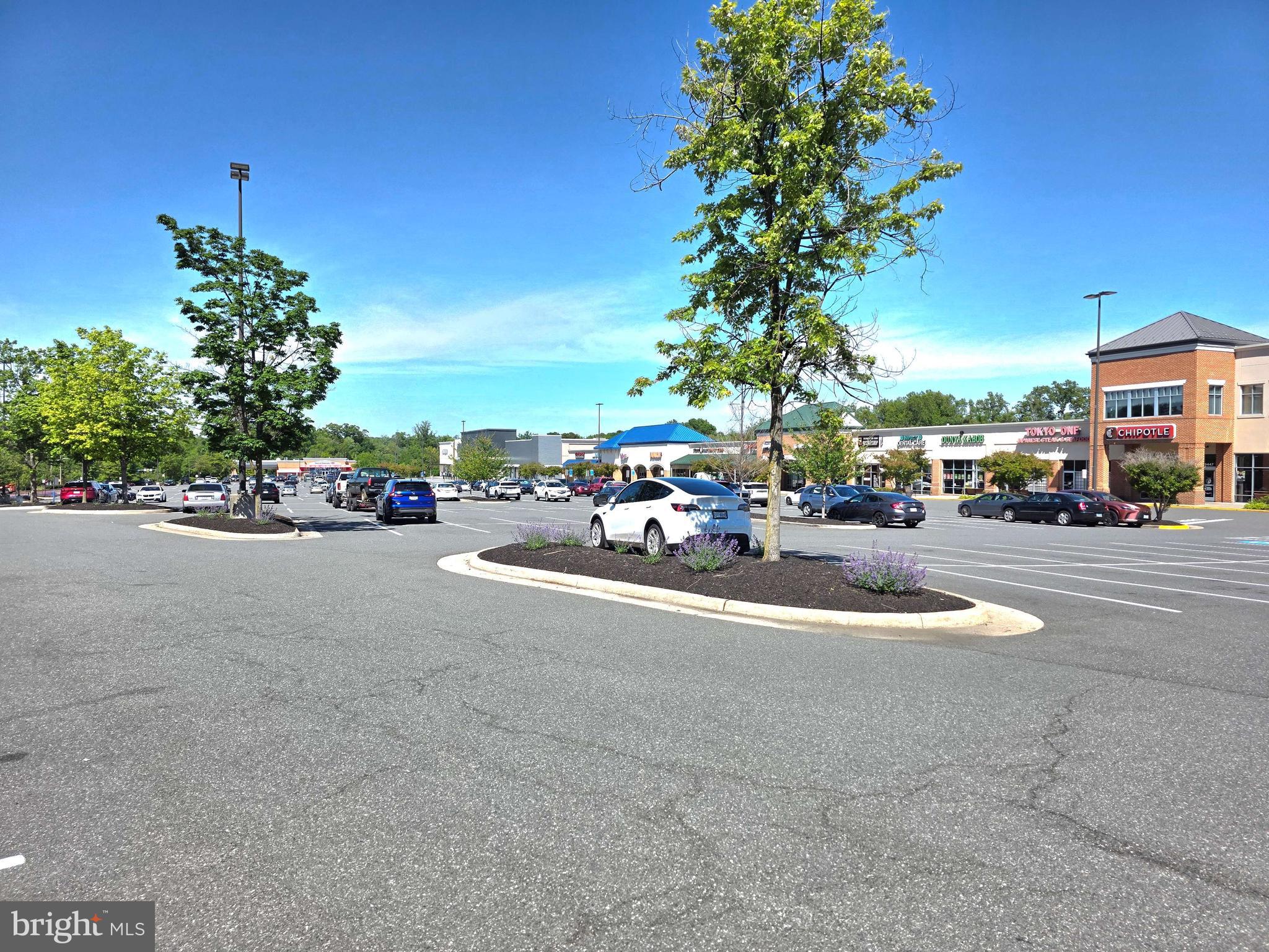 GUNSTON SQUARE - Residential