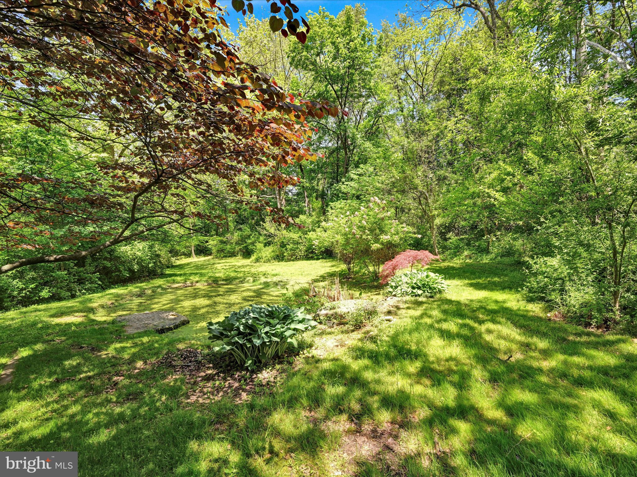 MOUNT VERNON - Residential