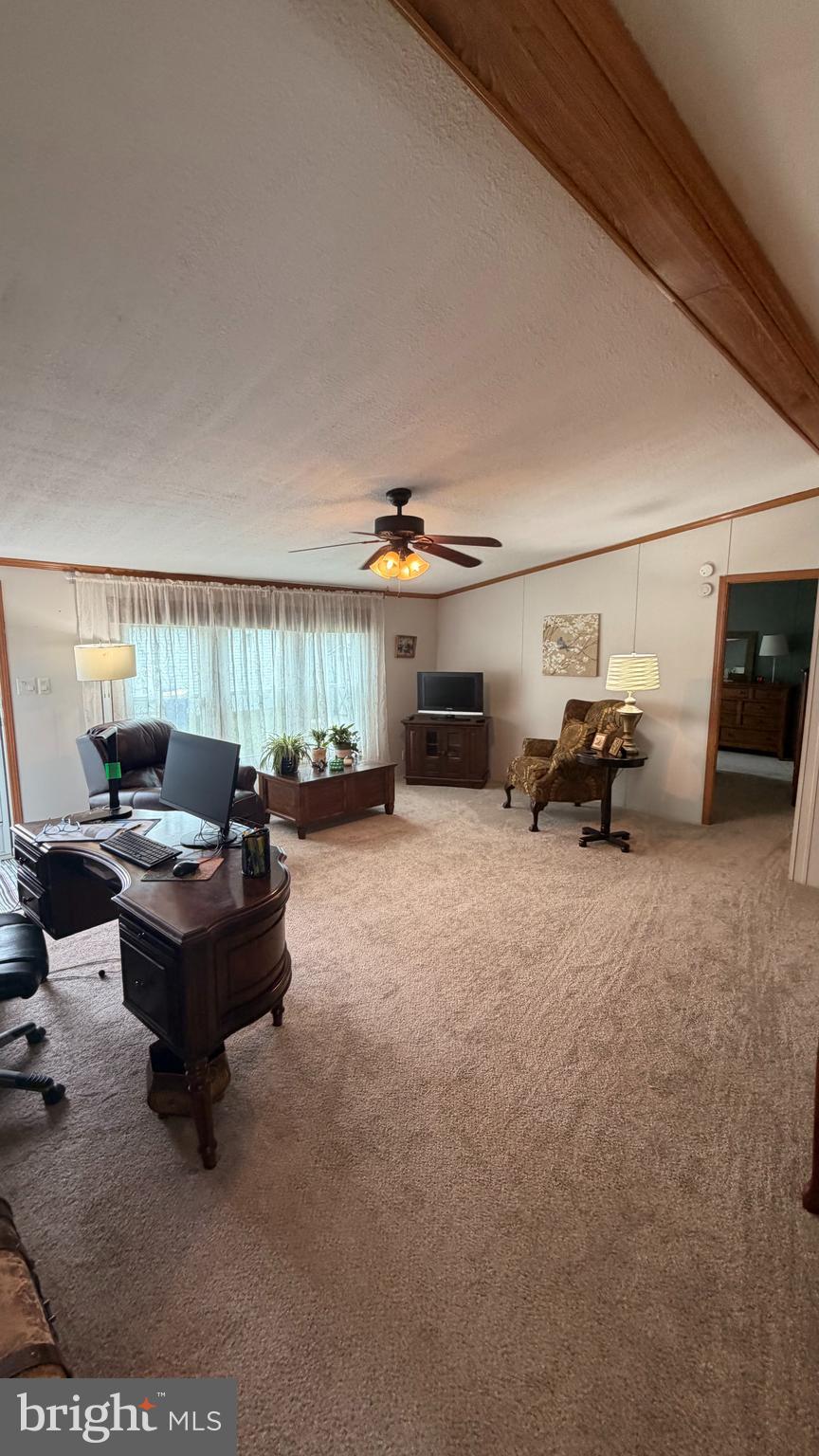 110 SKYLINE LOCUST DRIVE 110