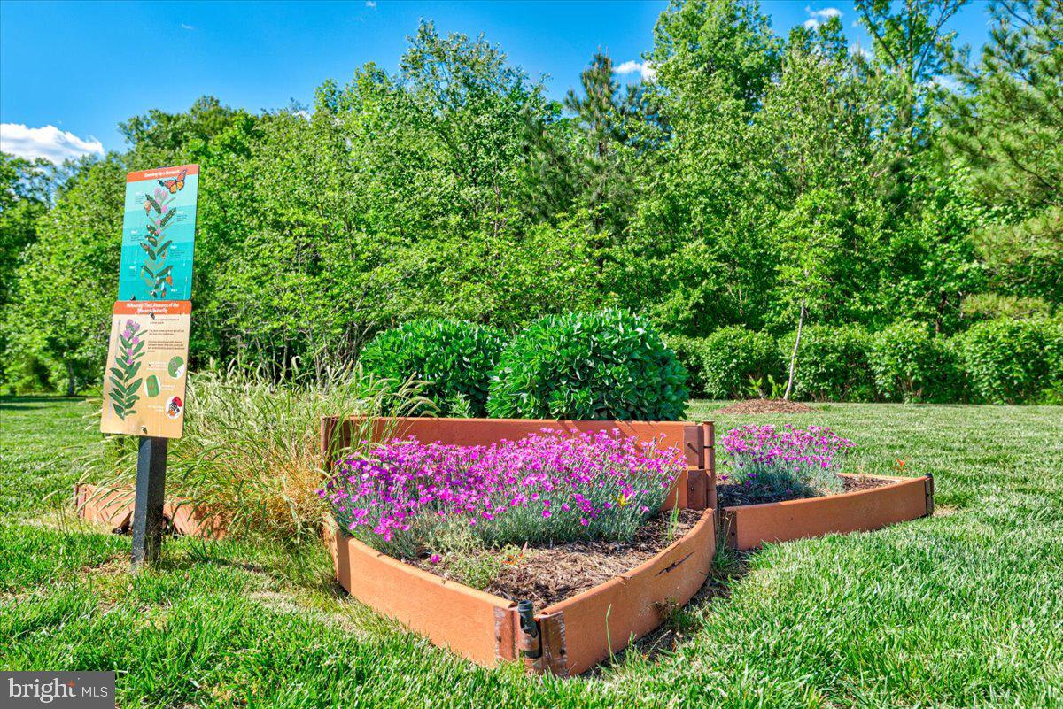 LADYSMITH VILLAGE - Residential