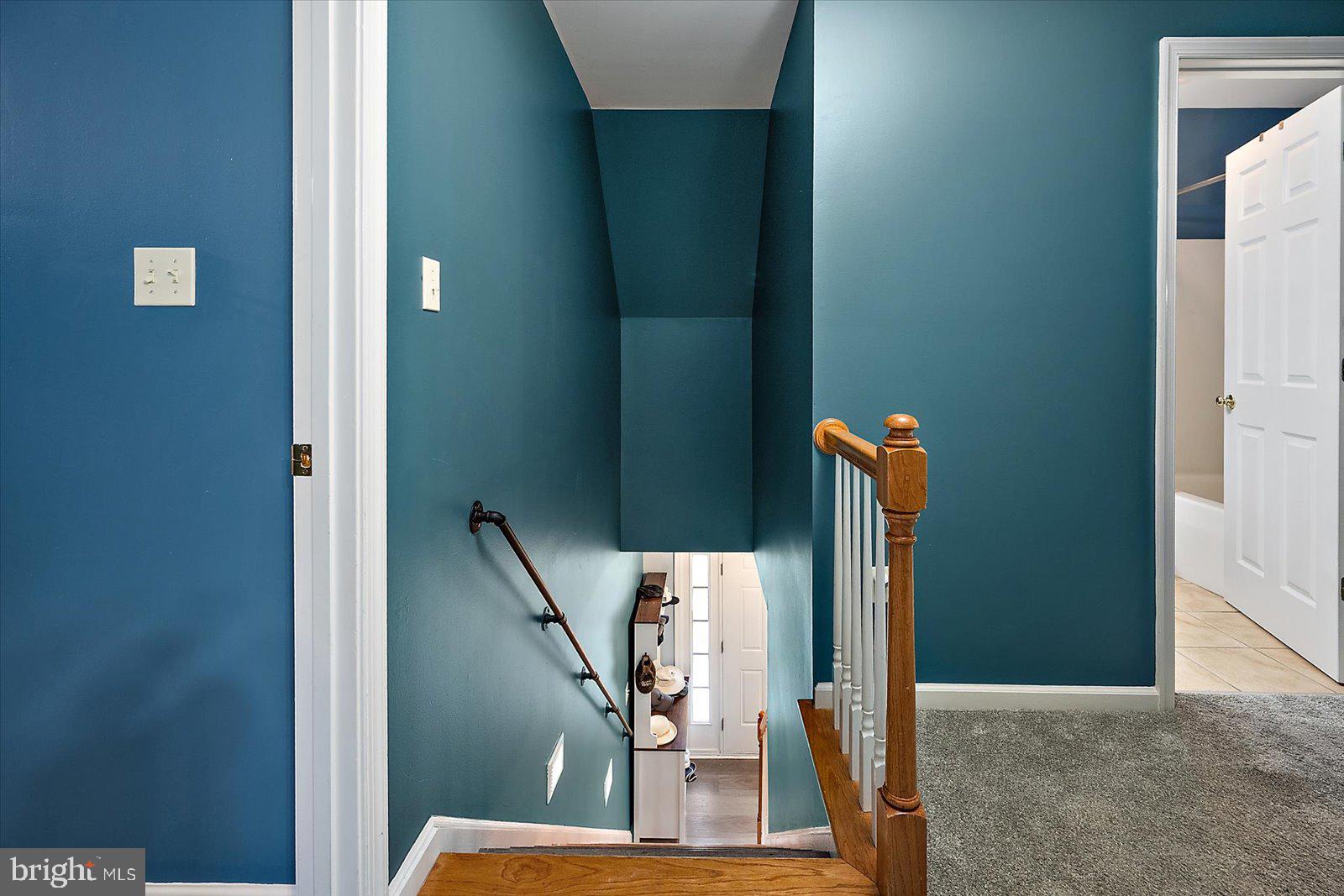 STEEPLECHASE - Residential