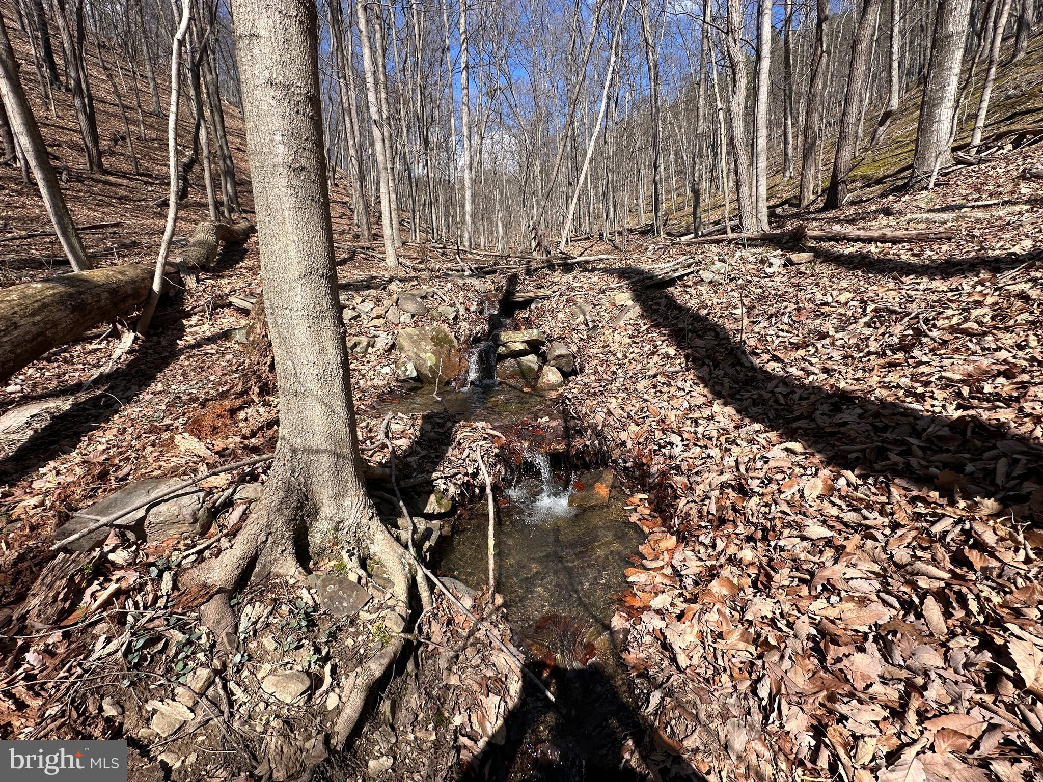 BLUFFS ON THE POTOMAC - Land