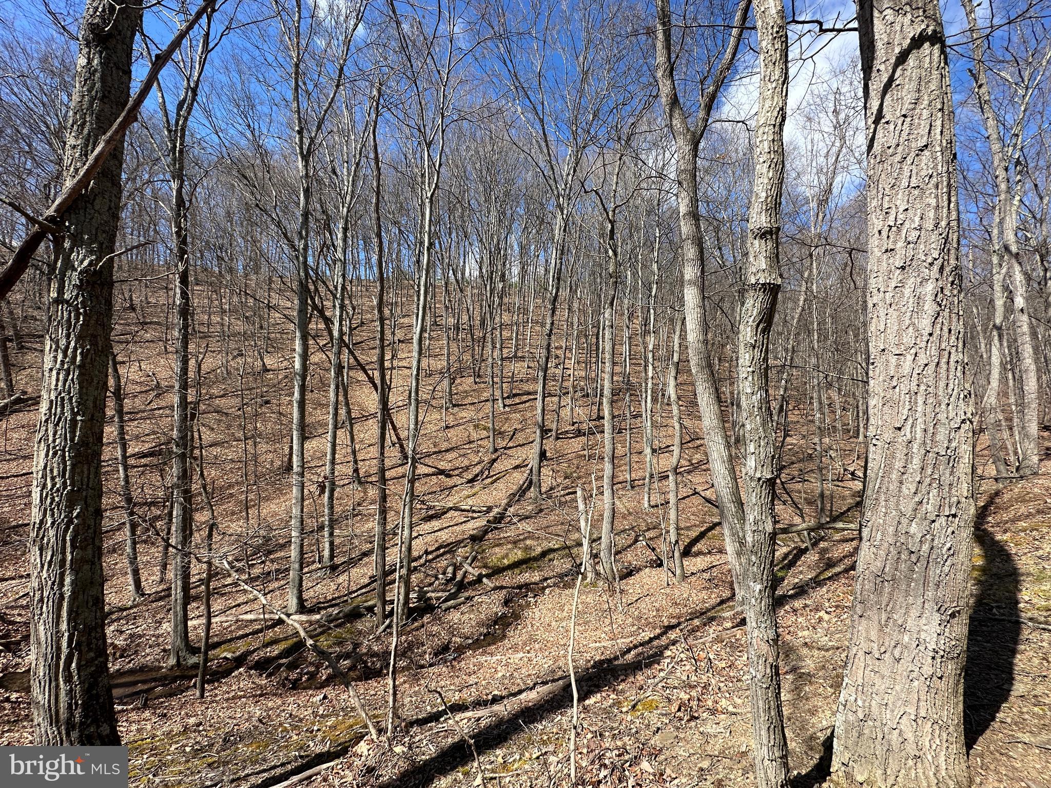 BLUFFS ON THE POTOMAC - Land