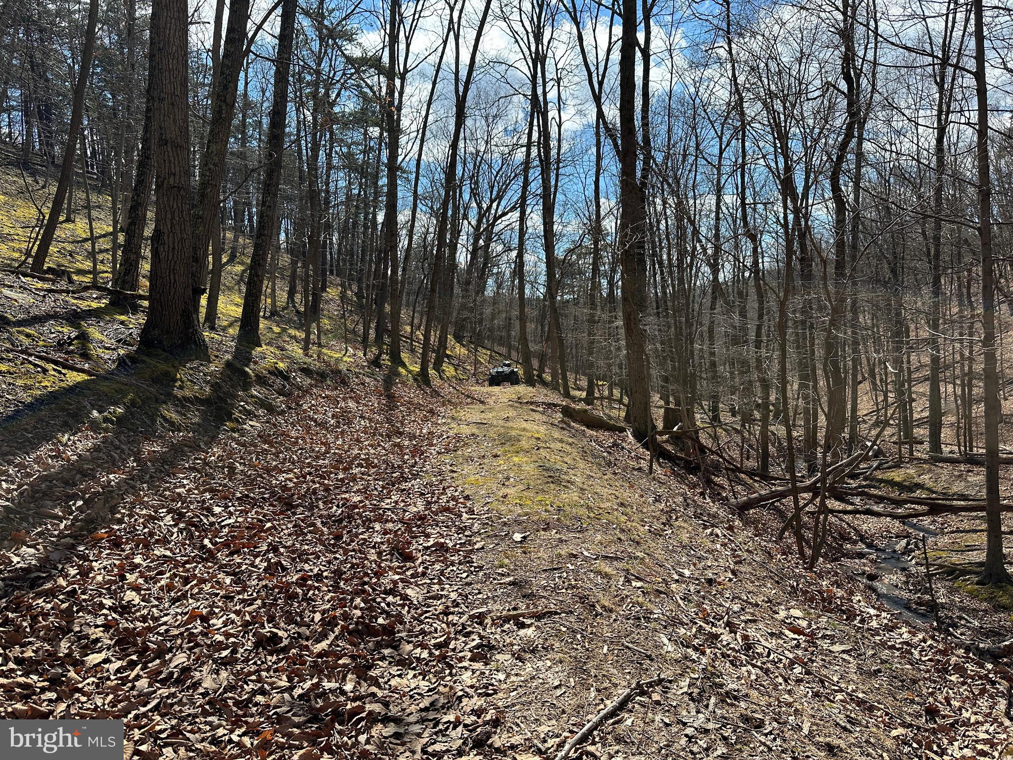 BLUFFS ON THE POTOMAC - Land