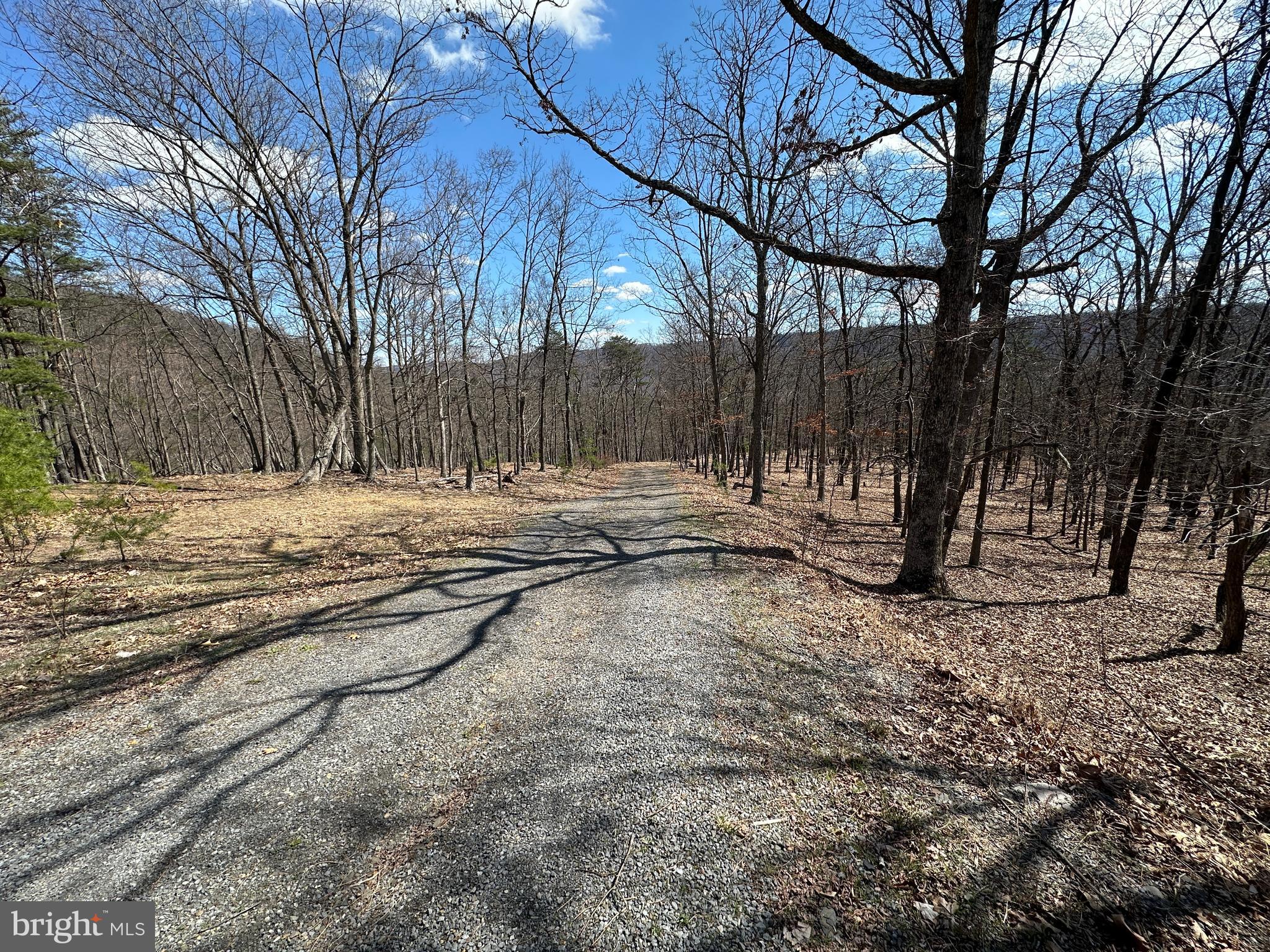BLUFFS ON THE POTOMAC - Land