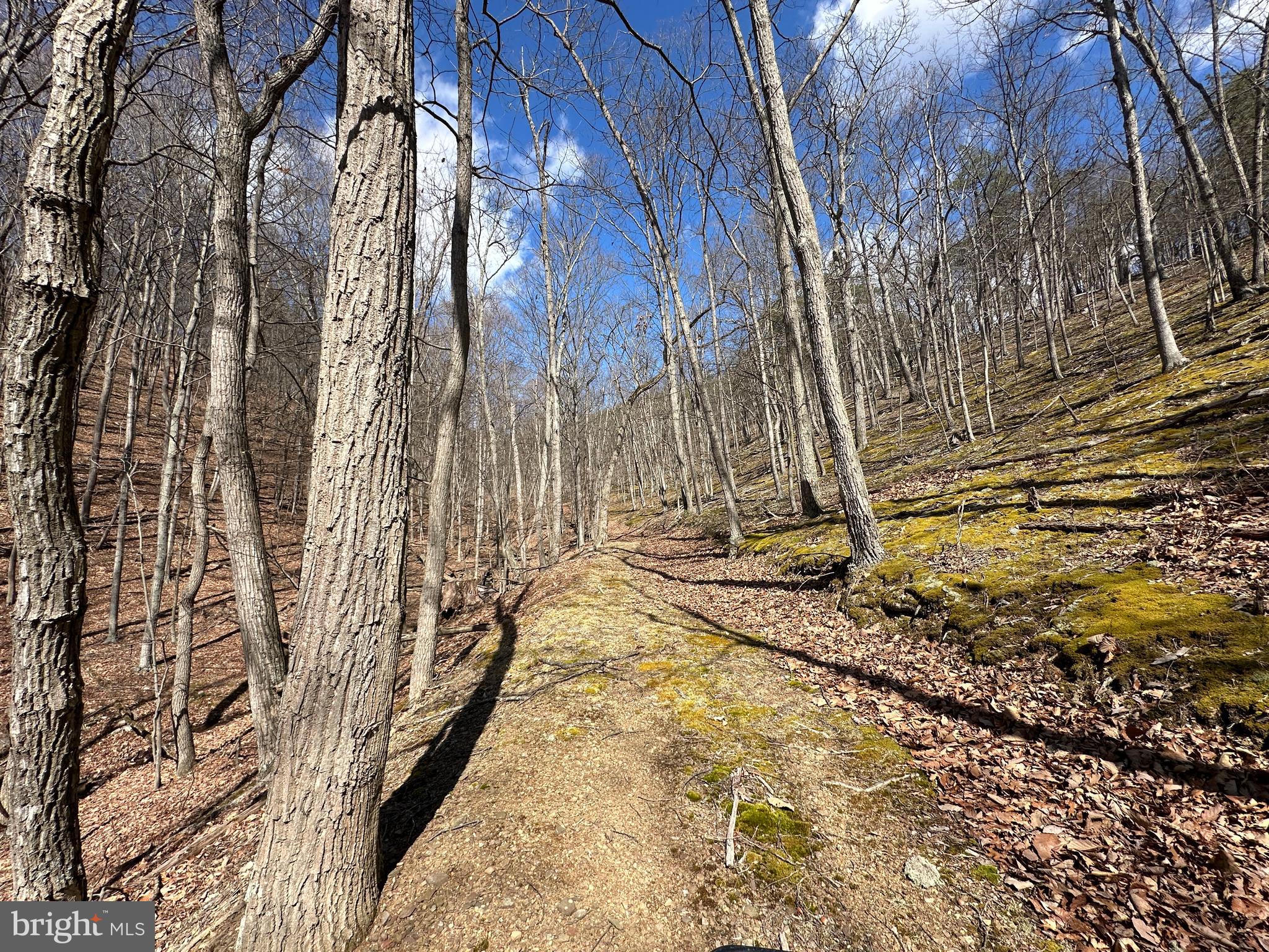 BLUFFS ON THE POTOMAC - Land