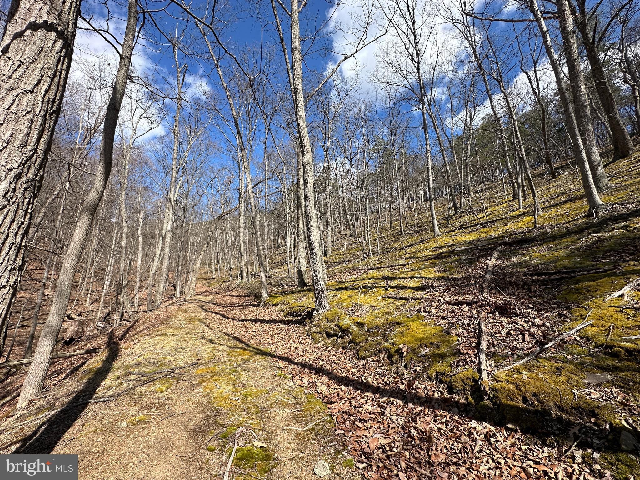 BLUFFS ON THE POTOMAC - Land