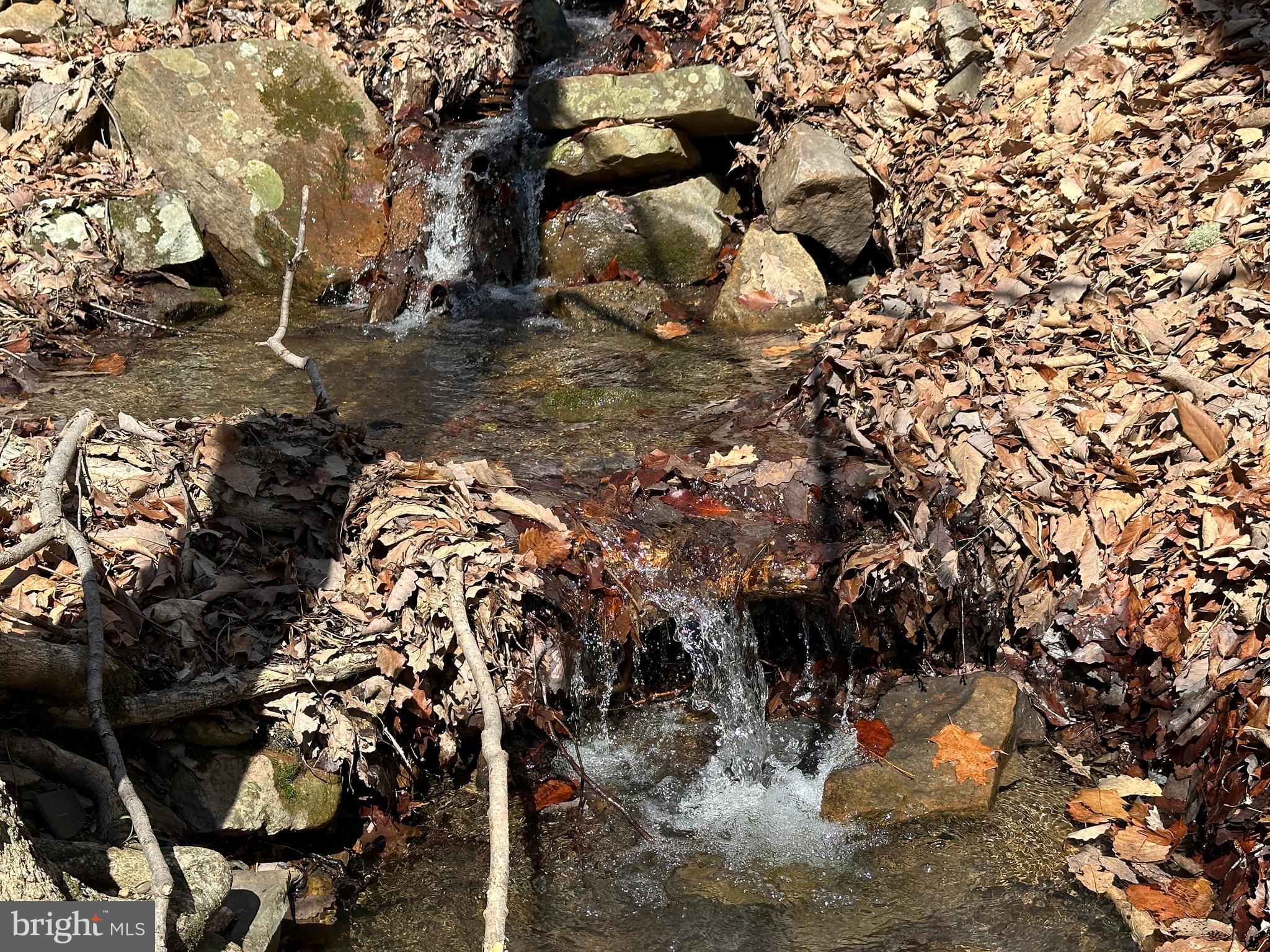 BLUFFS ON THE POTOMAC - Land