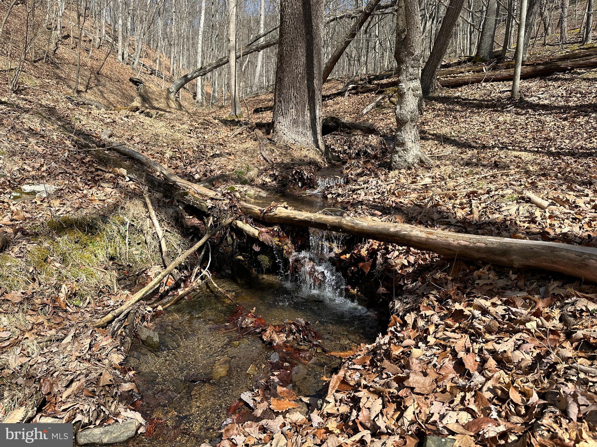 BLUFFS ON THE POTOMAC - Land
