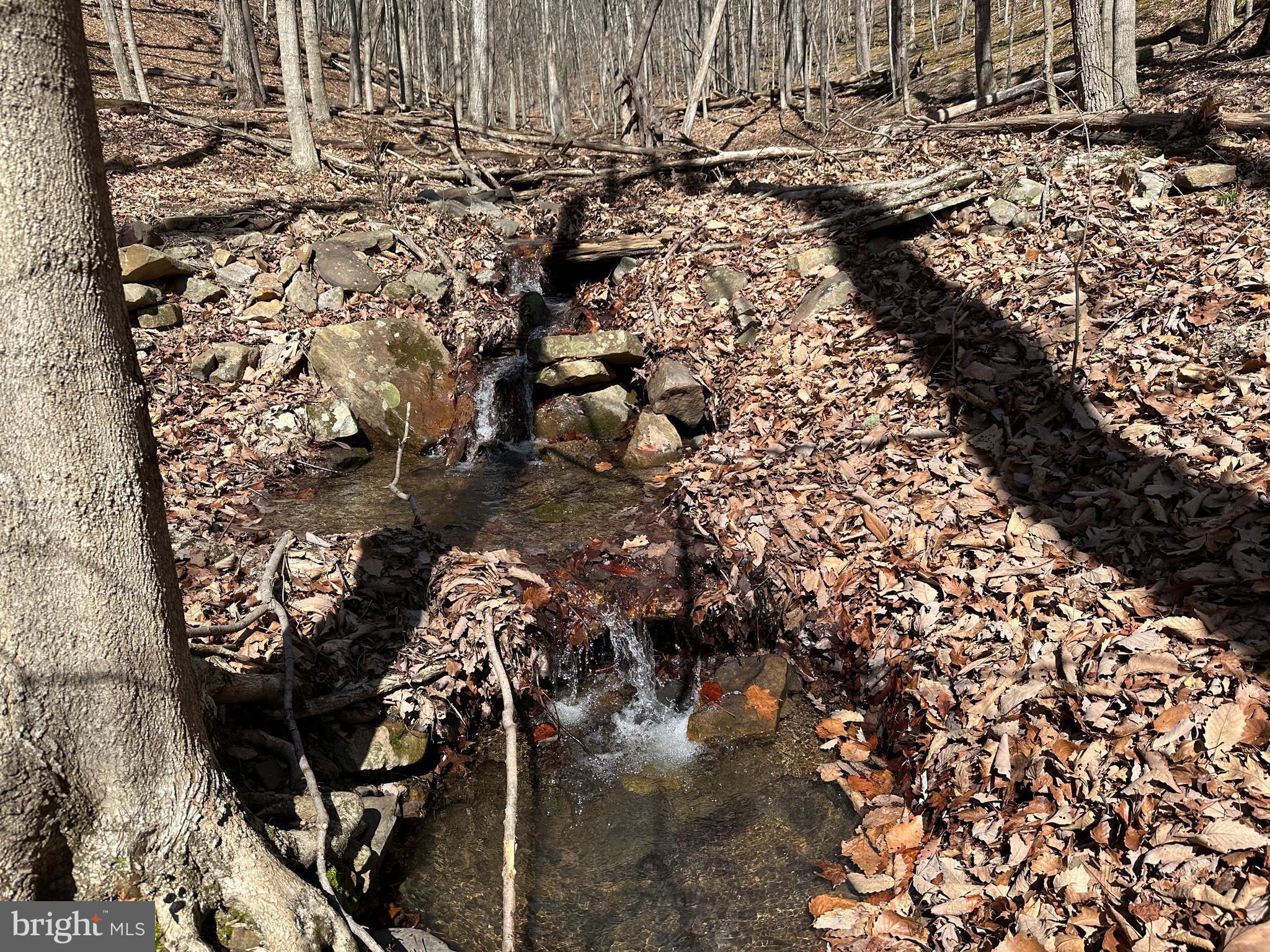 BLUFFS ON THE POTOMAC - Land