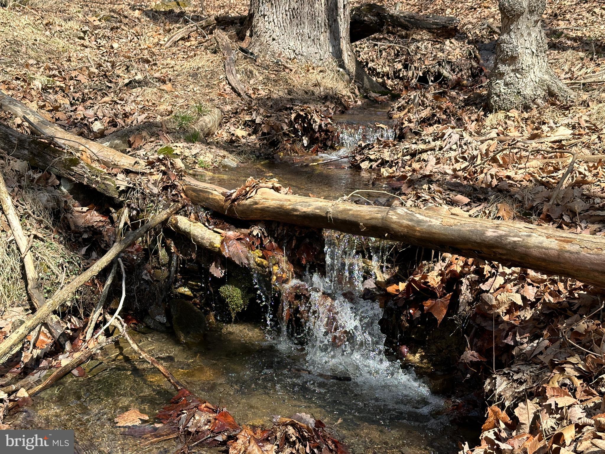 BLUFFS ON THE POTOMAC - Land