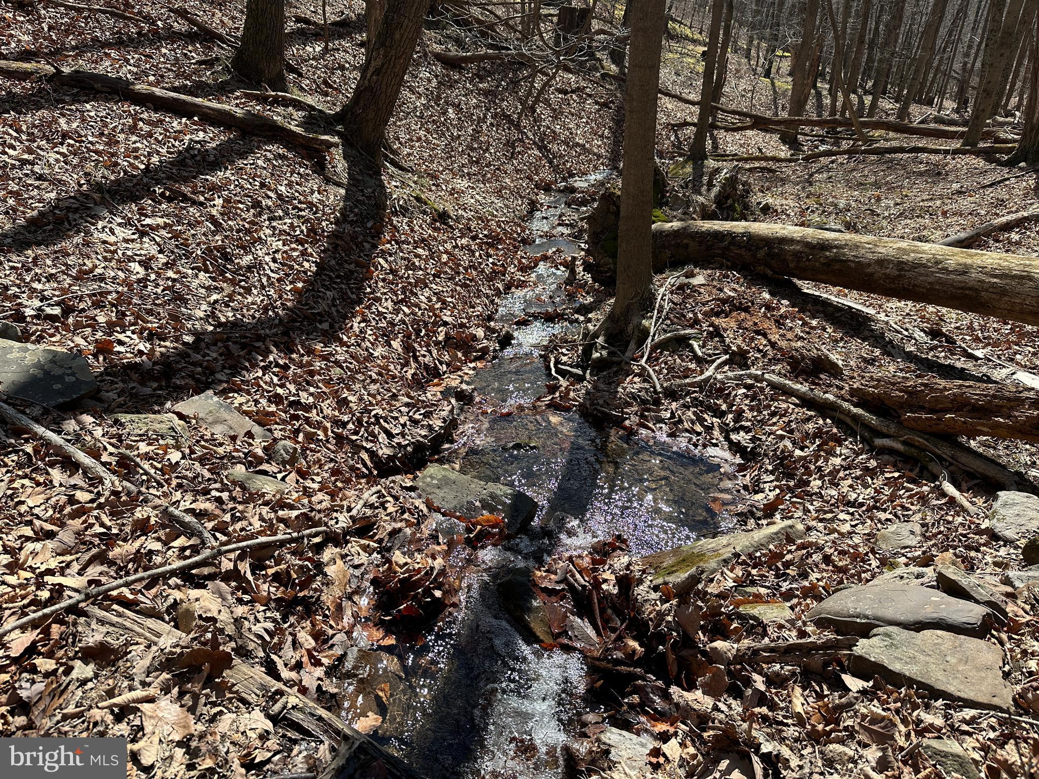 BLUFFS ON THE POTOMAC - Land