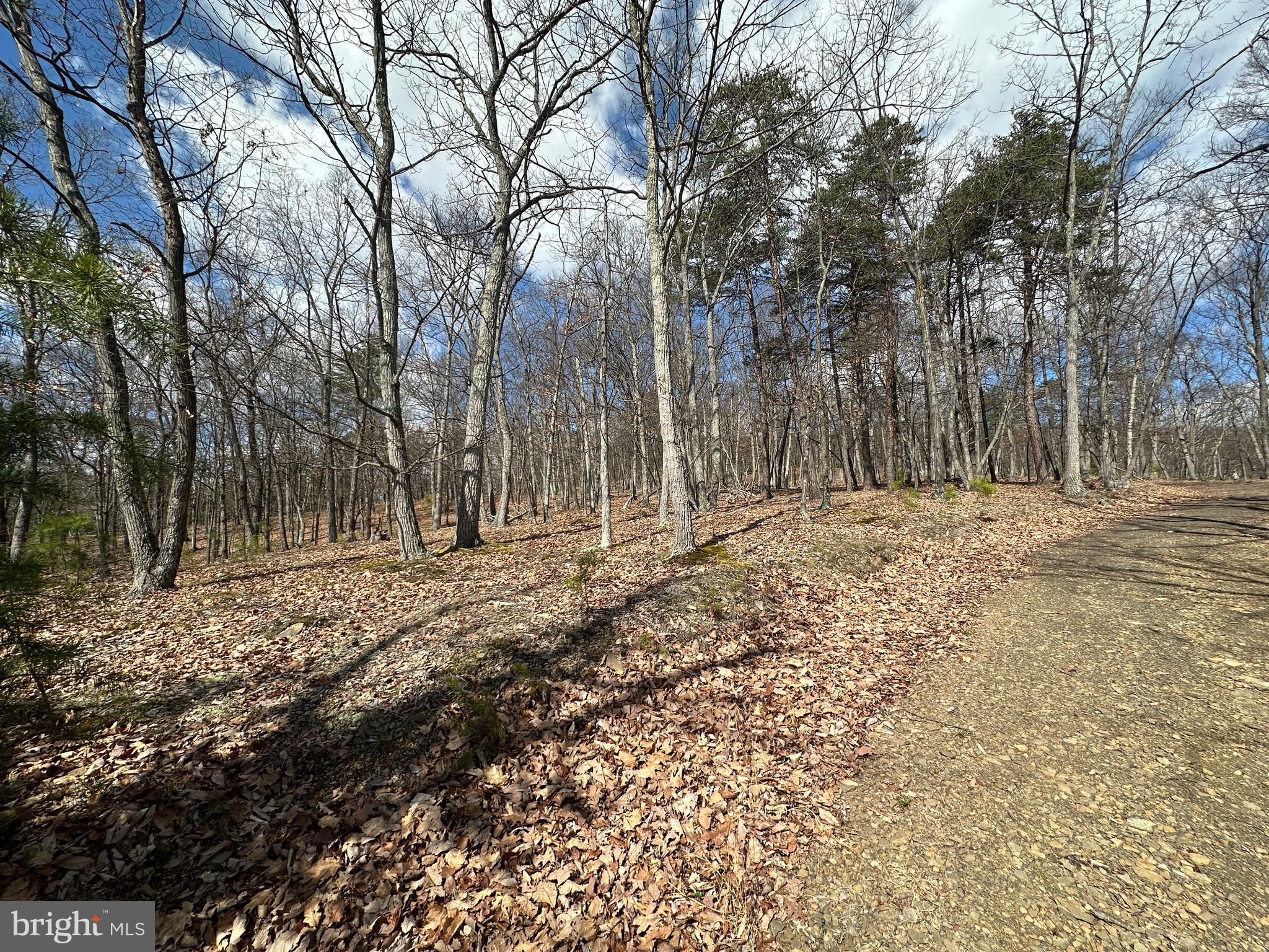 BLUFFS ON THE POTOMAC - Land