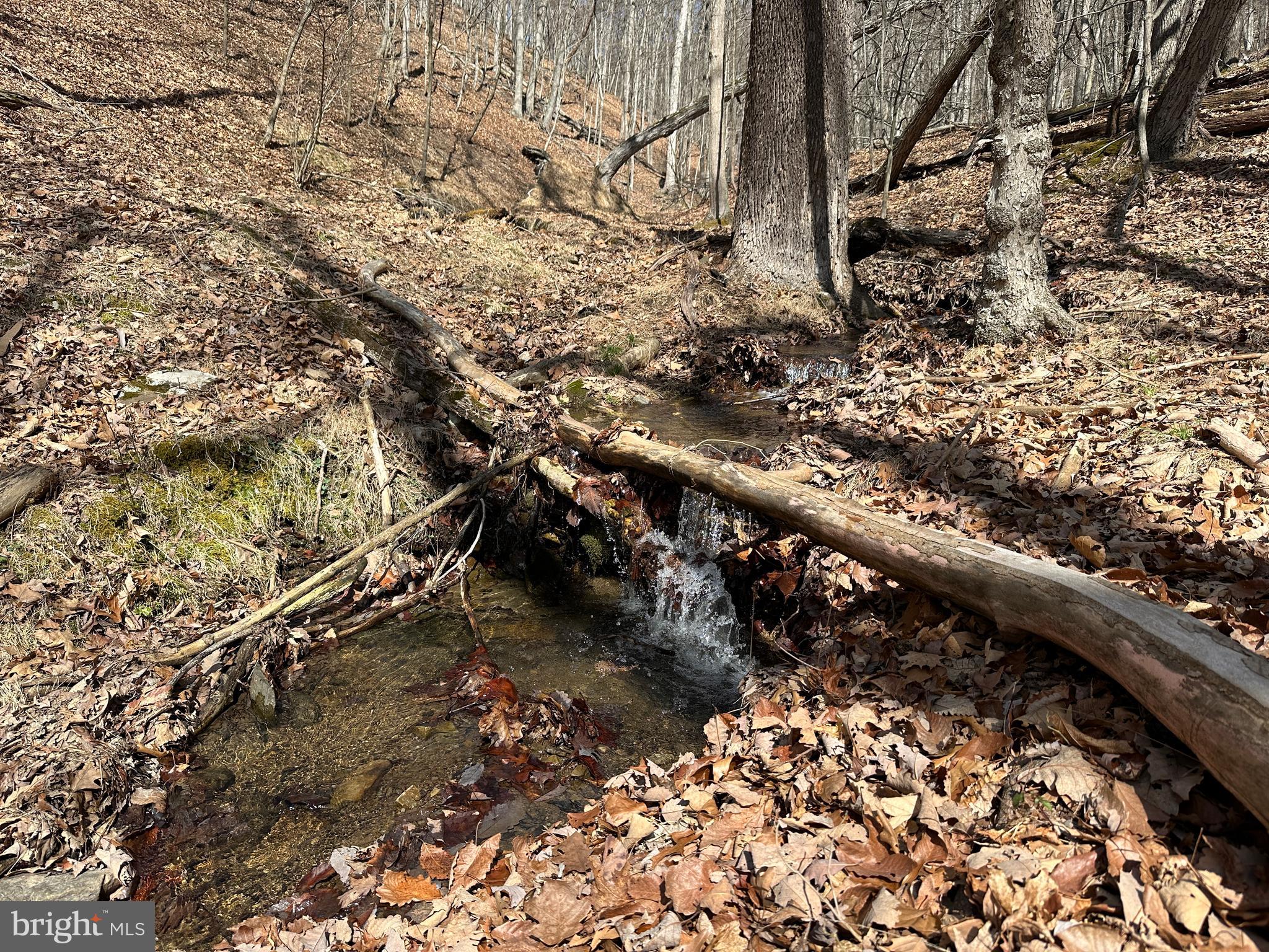 BLUFFS ON THE POTOMAC - Land