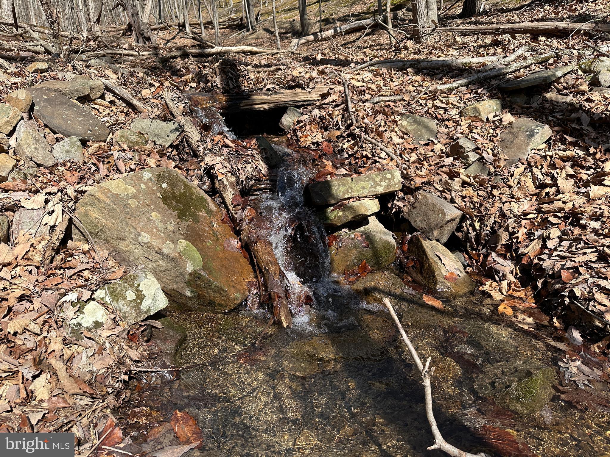 BLUFFS ON THE POTOMAC - Land