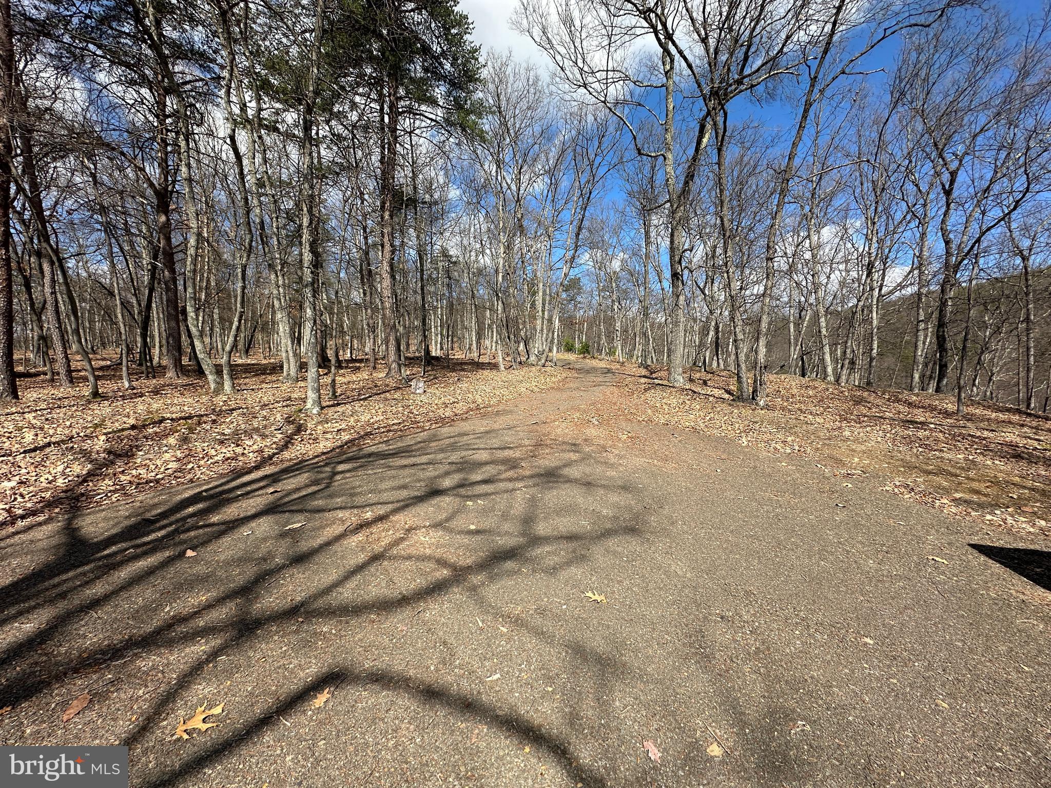 BLUFFS ON THE POTOMAC - Land