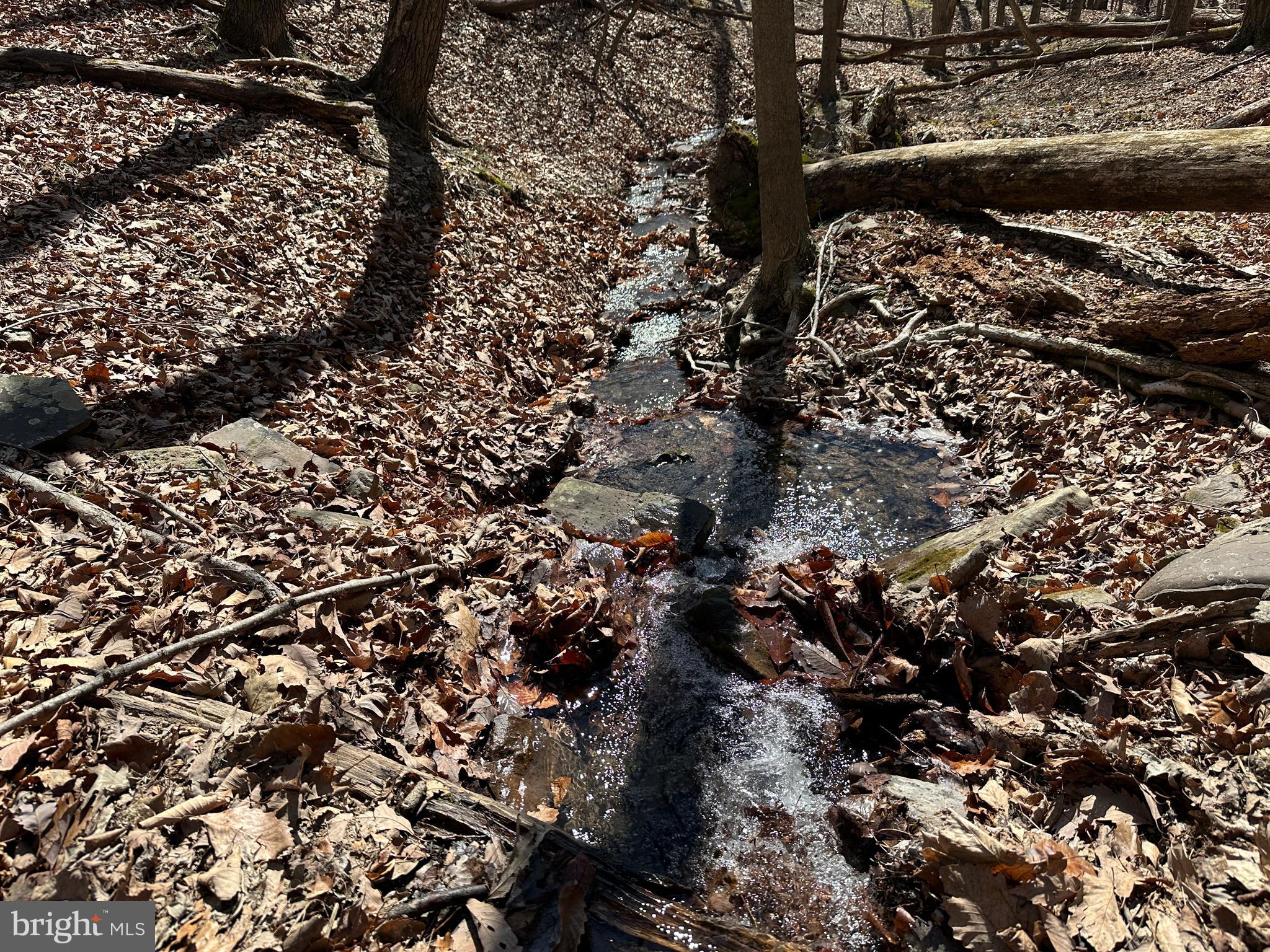 BLUFFS ON THE POTOMAC - Land