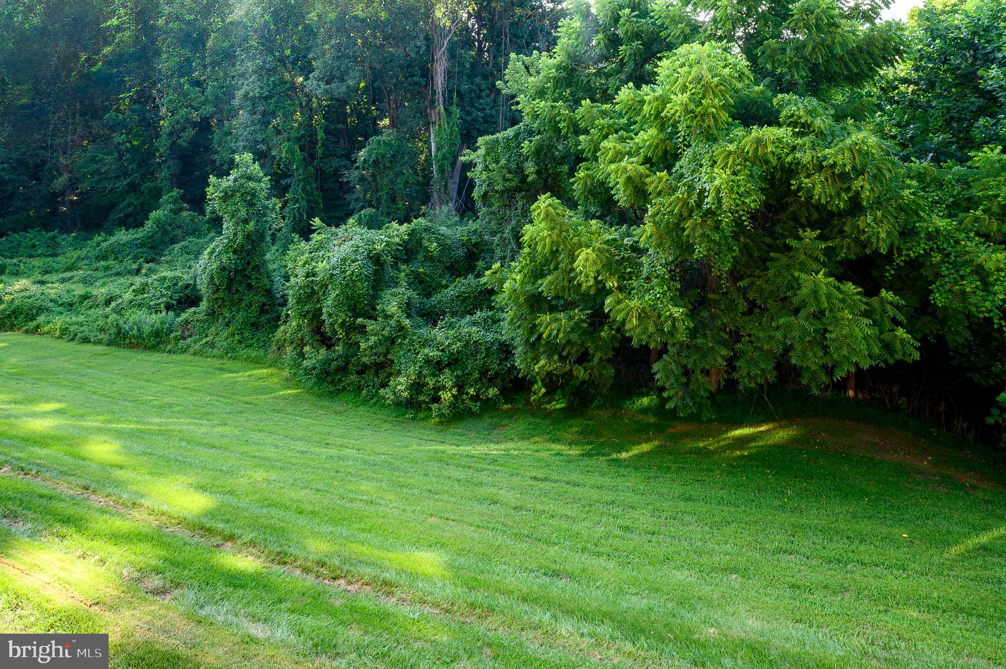 THE POND - Residential