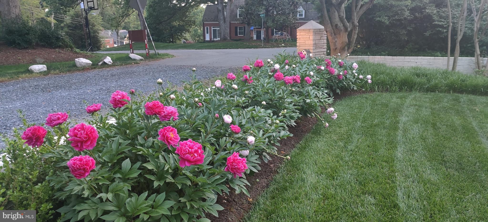 WOODHAVEN - Residential